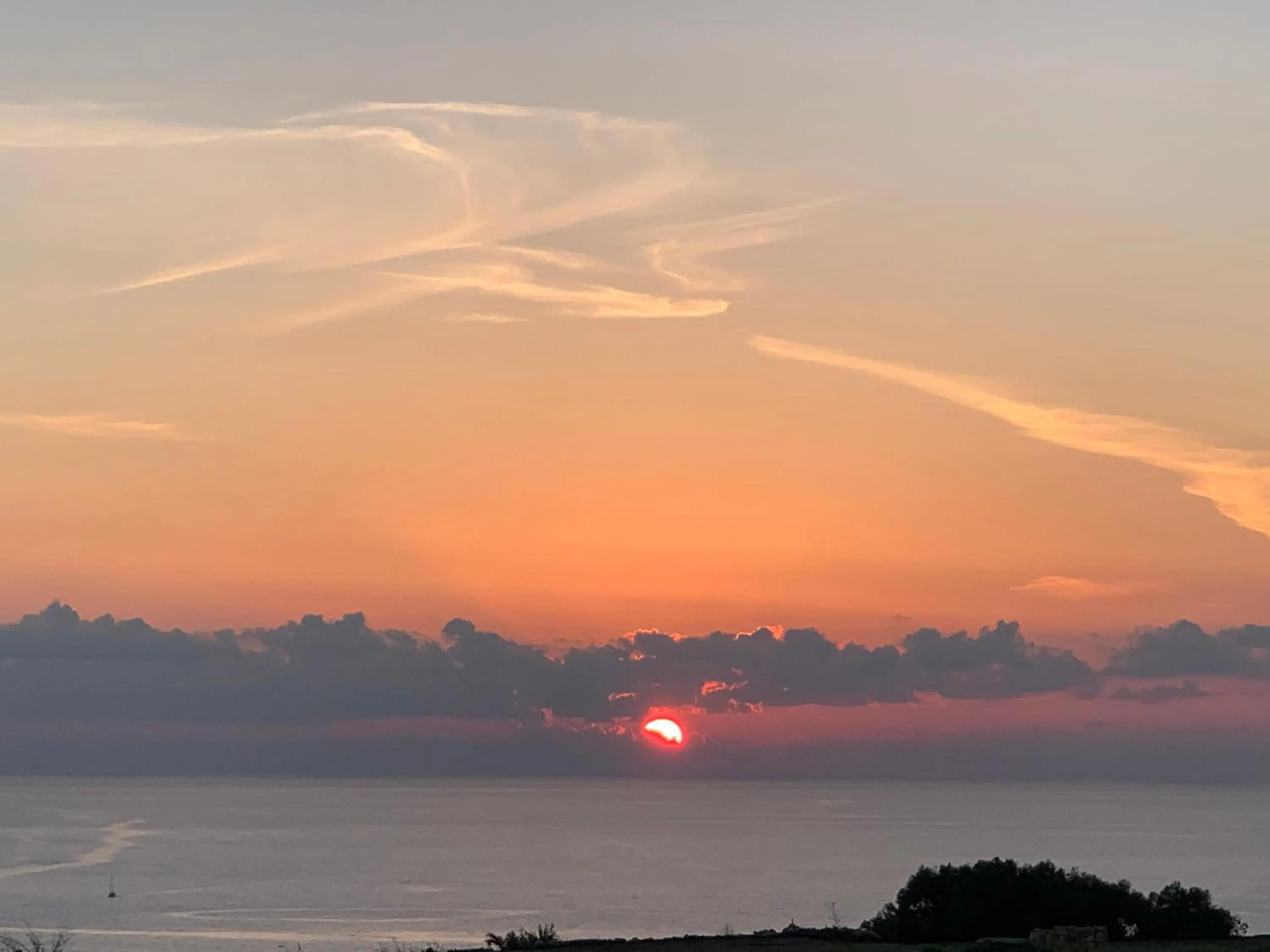 Natural landscape in Fiftyfour West Boutique Living