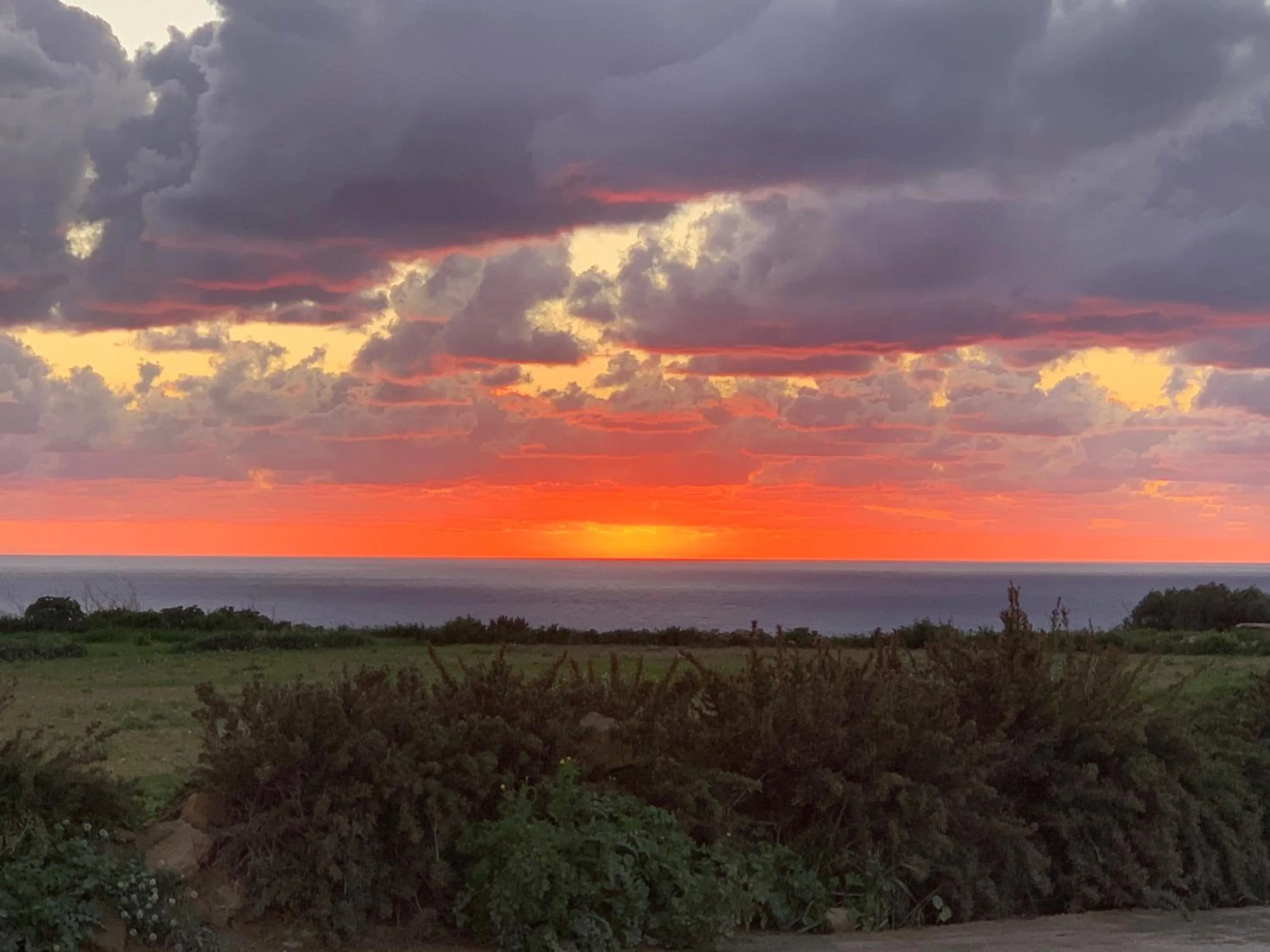 Natural landscape in Fiftyfour West Boutique Living