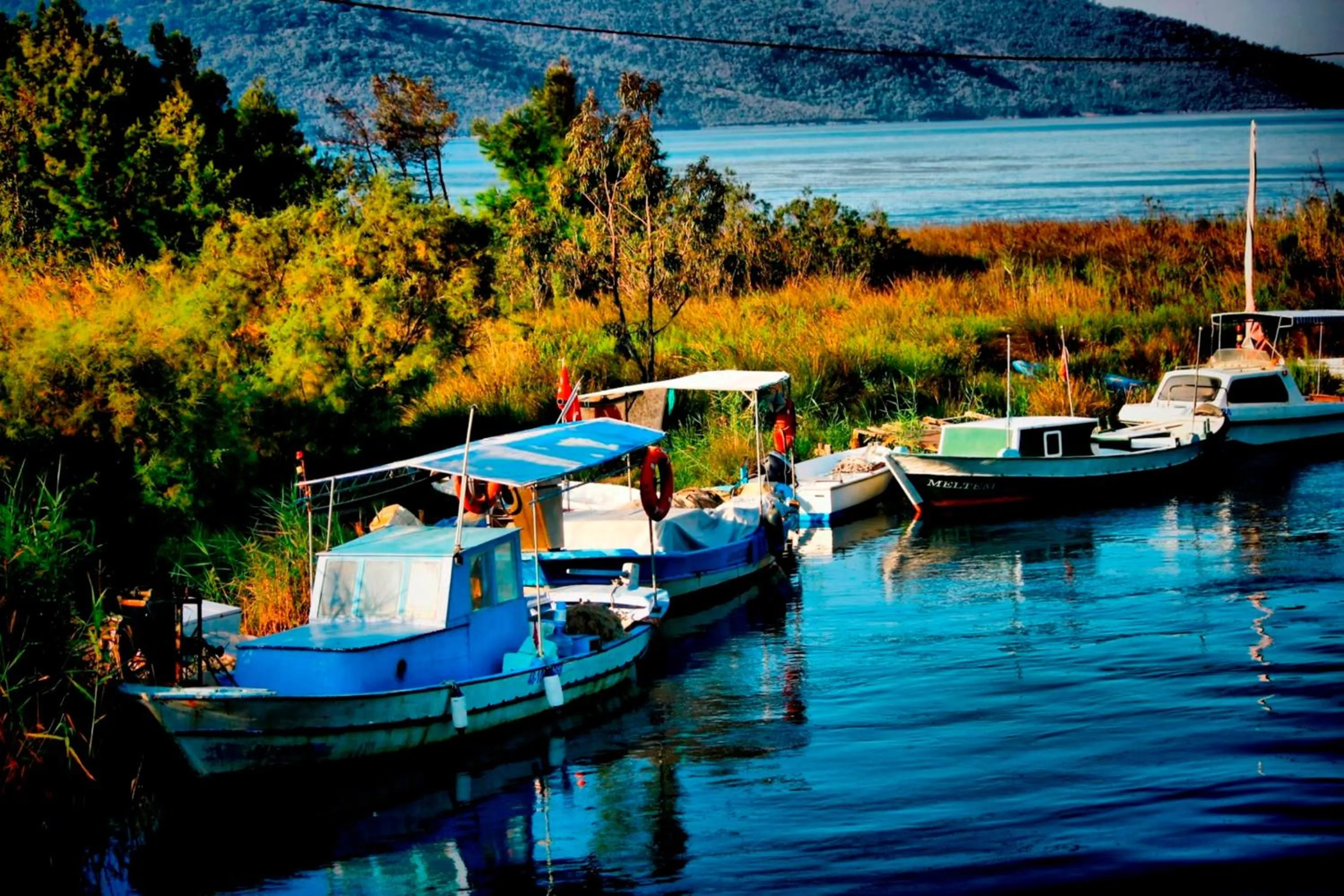 Other in Hamle Hotel