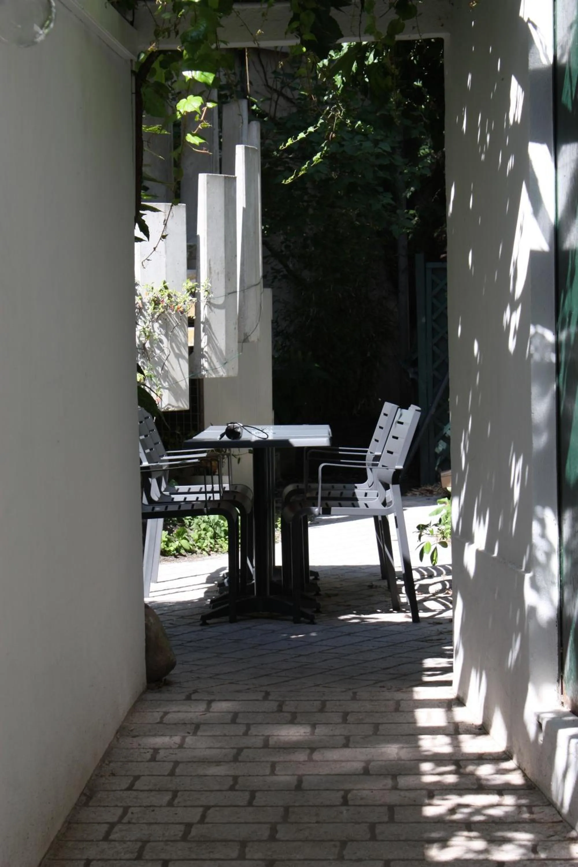Patio in Hotel Dauphin