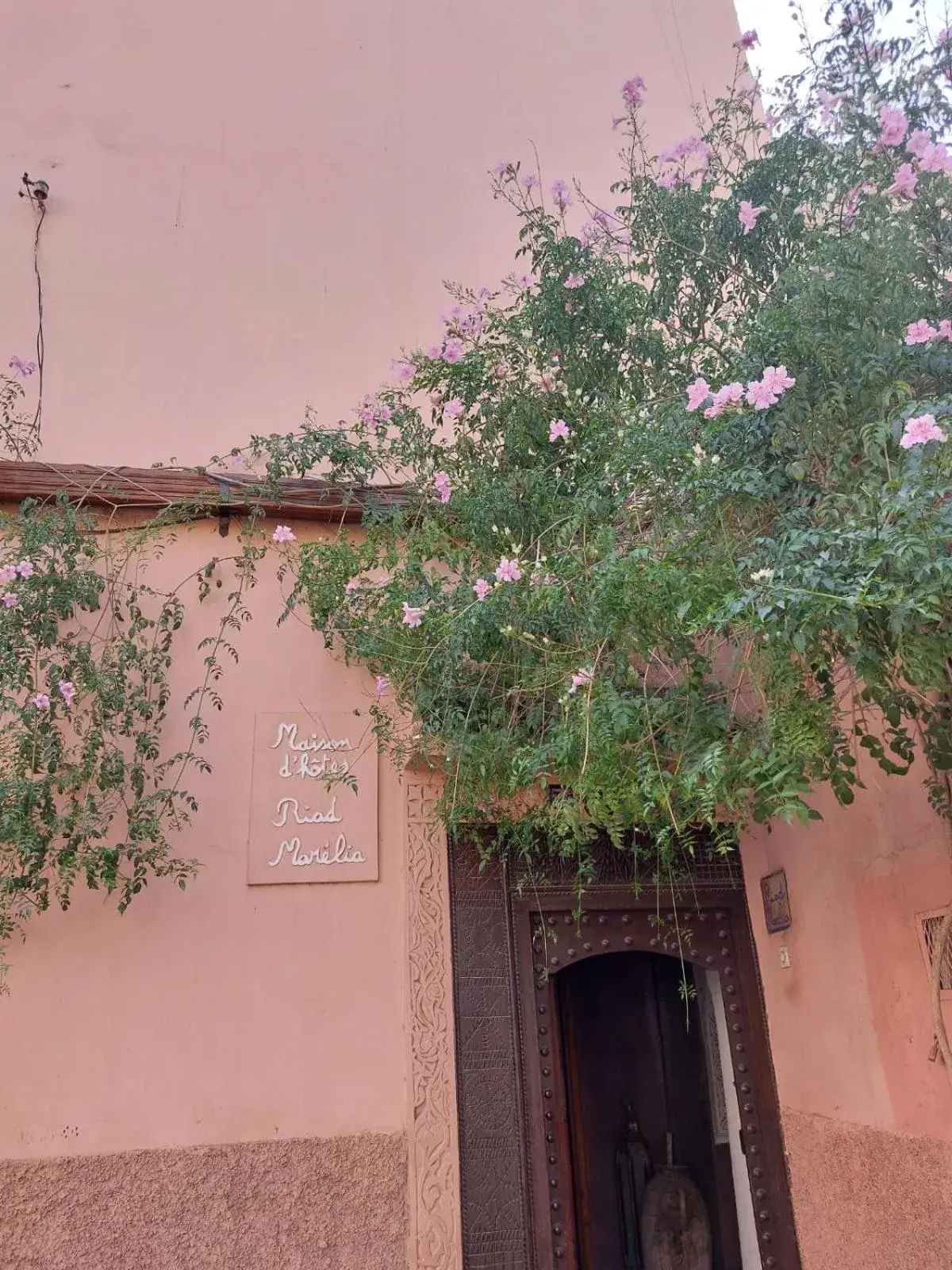 Riad Marélia Riad Marélia