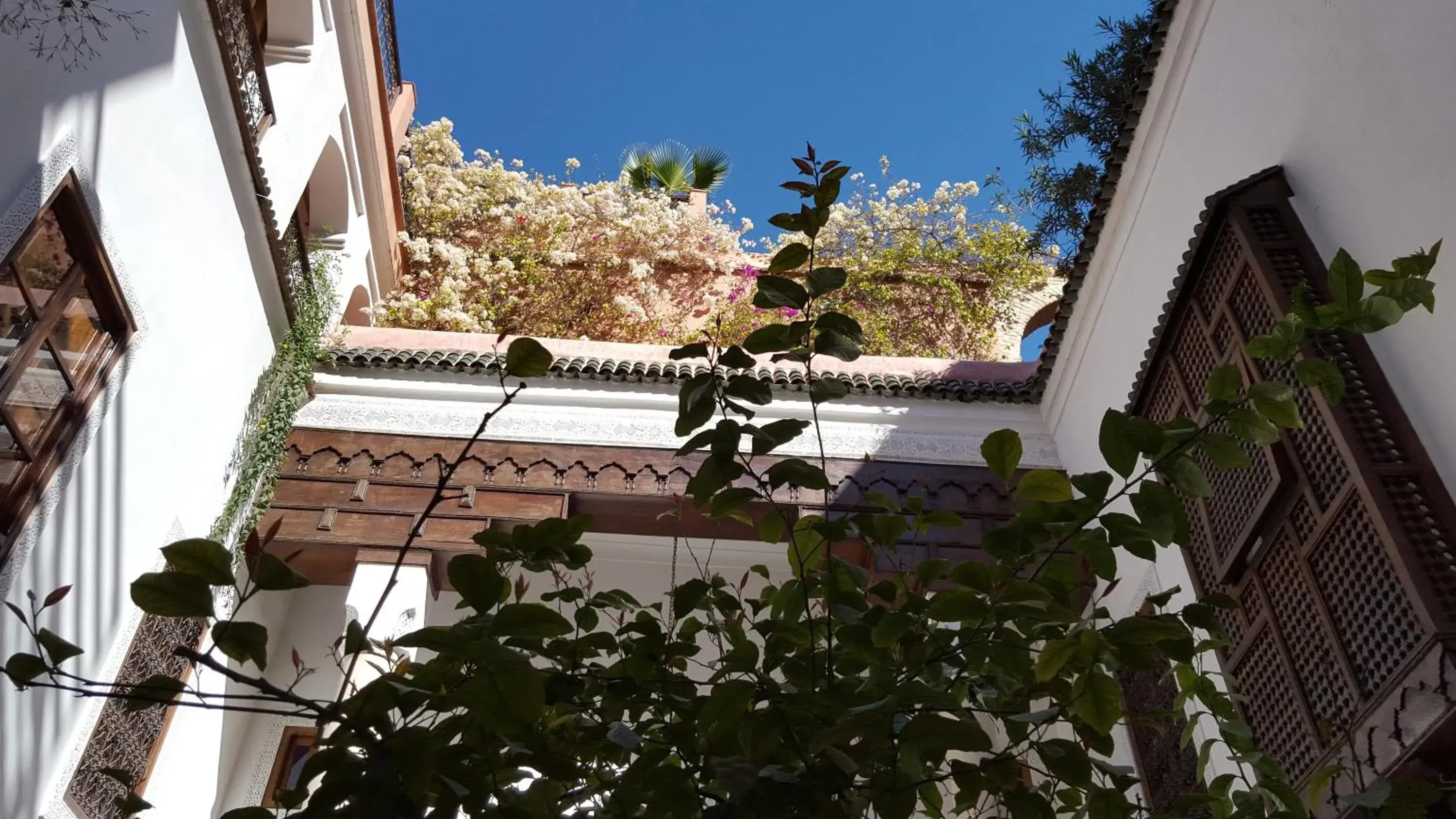 Garden view in Riad Marélia Garden view in Riad Marélia