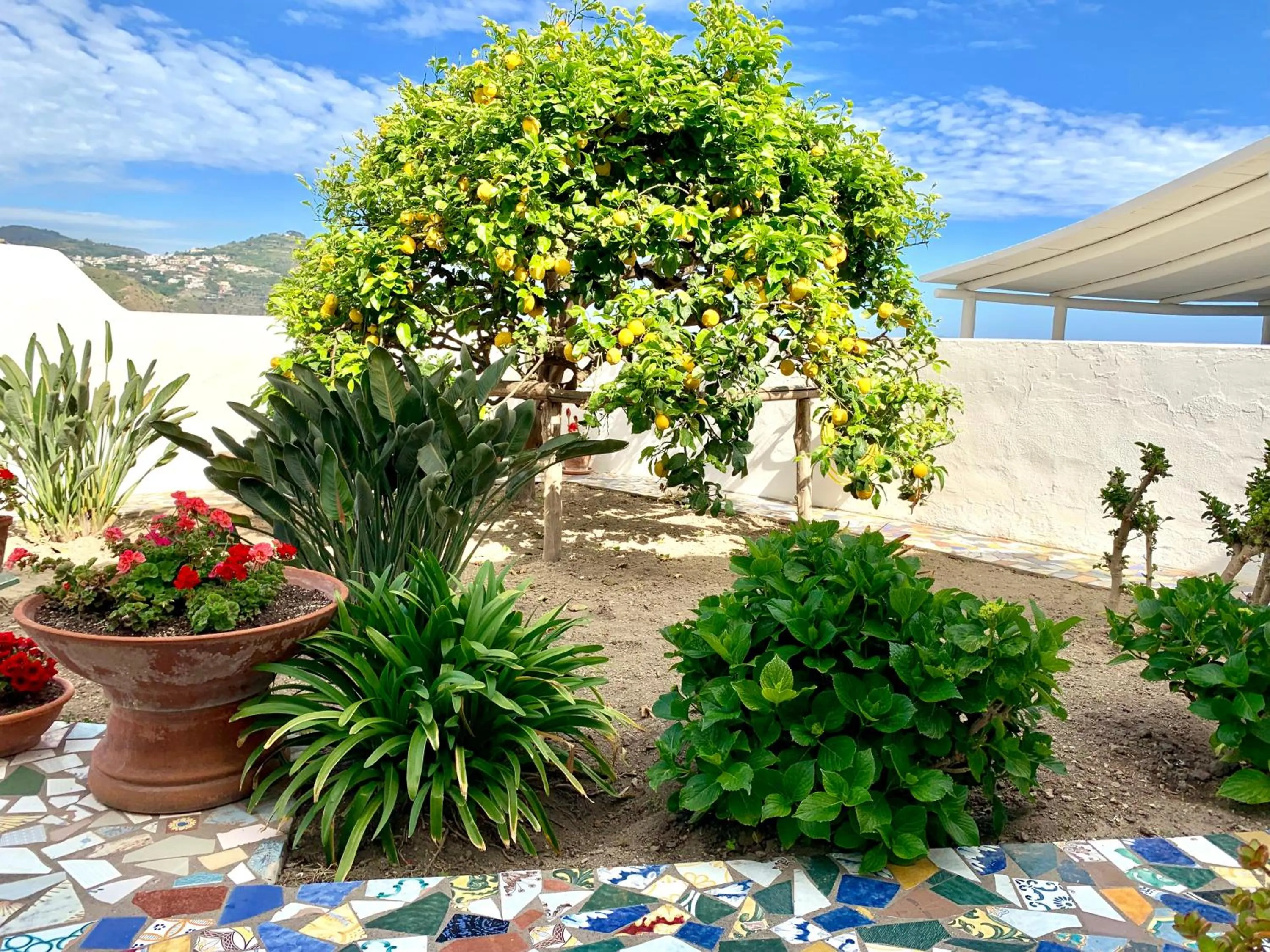 Garden in Villa Egidio