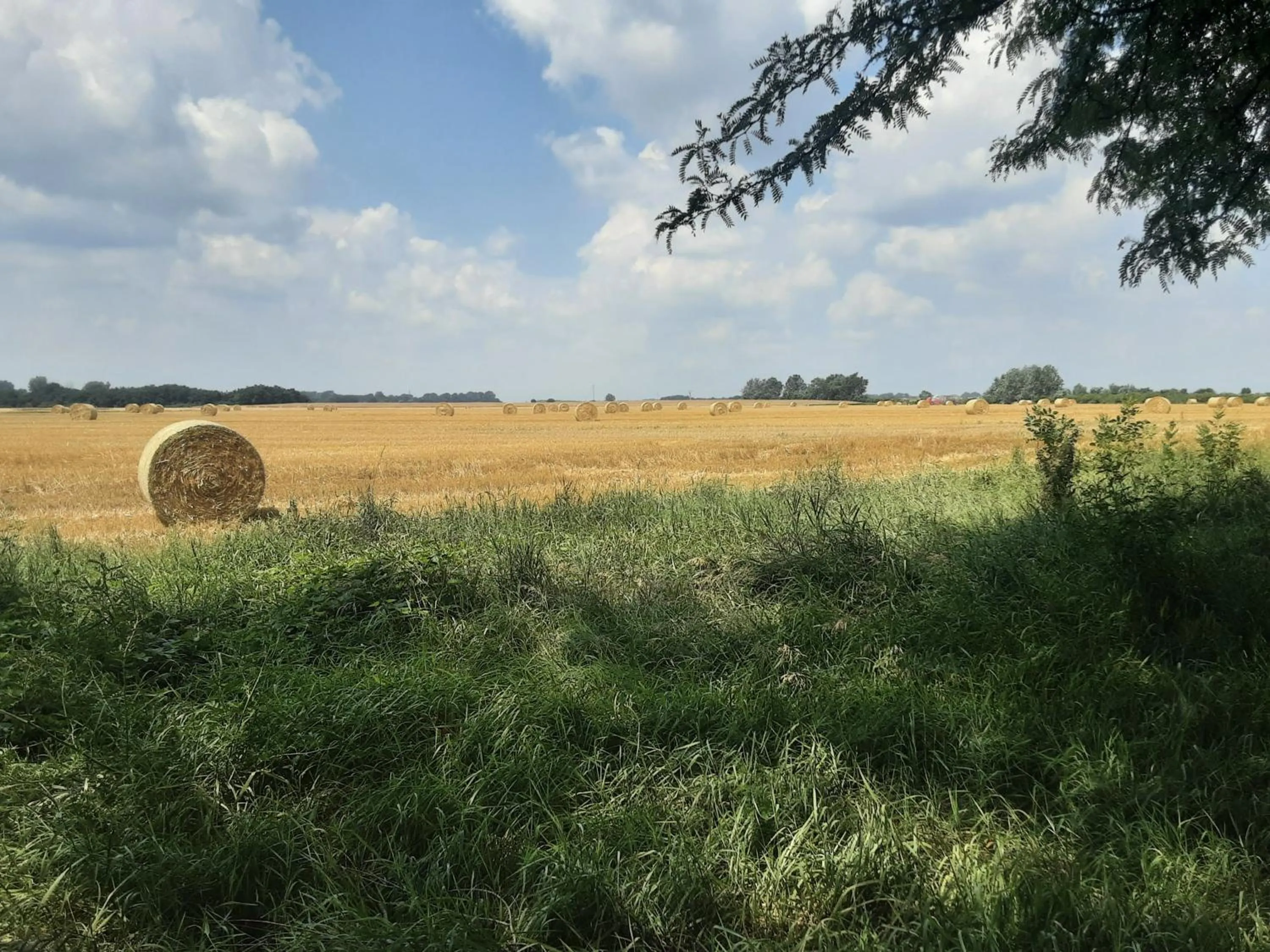 View (from property/room) in Herberg Tisza