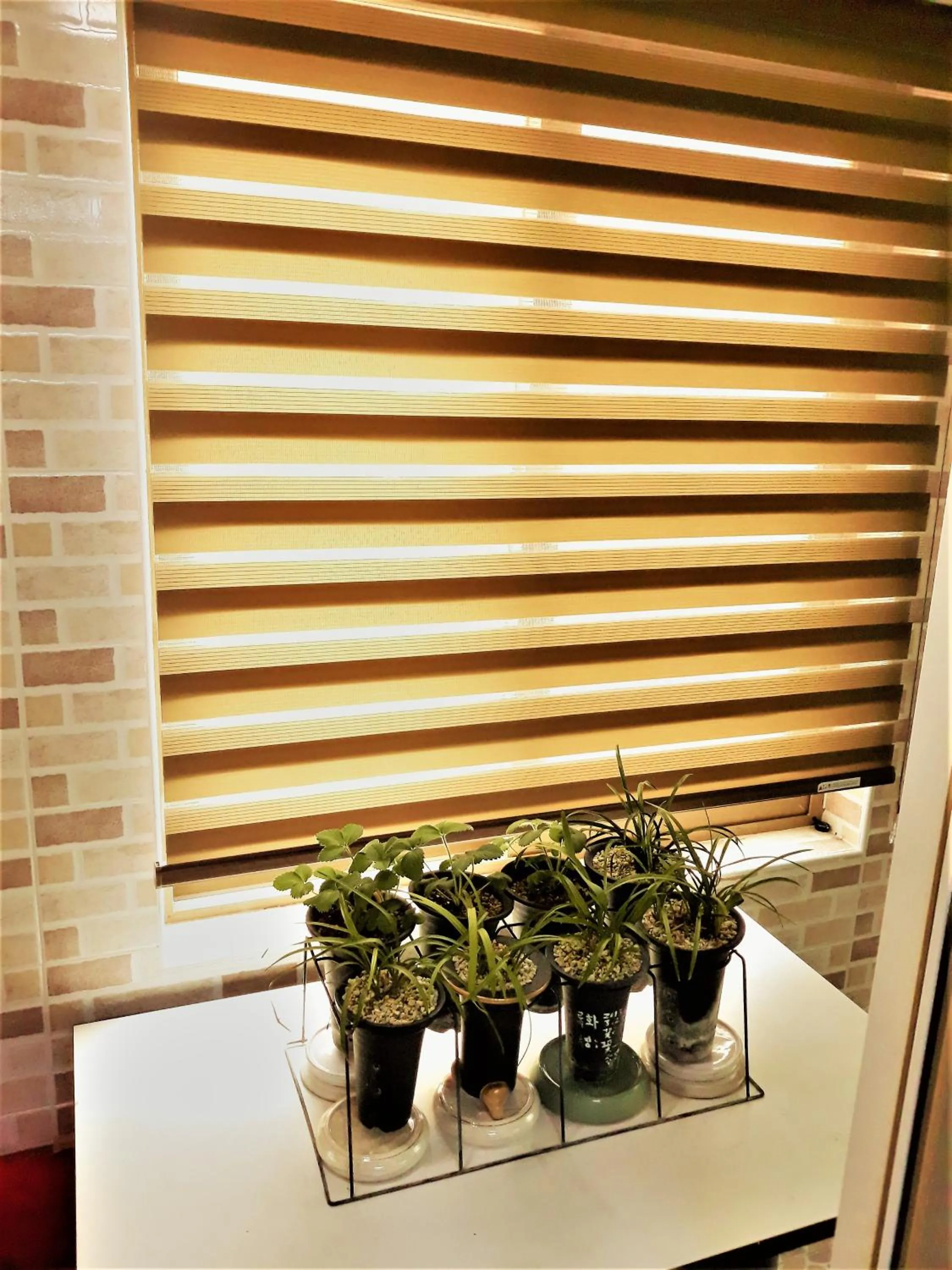 Work Life Balance Busan Station