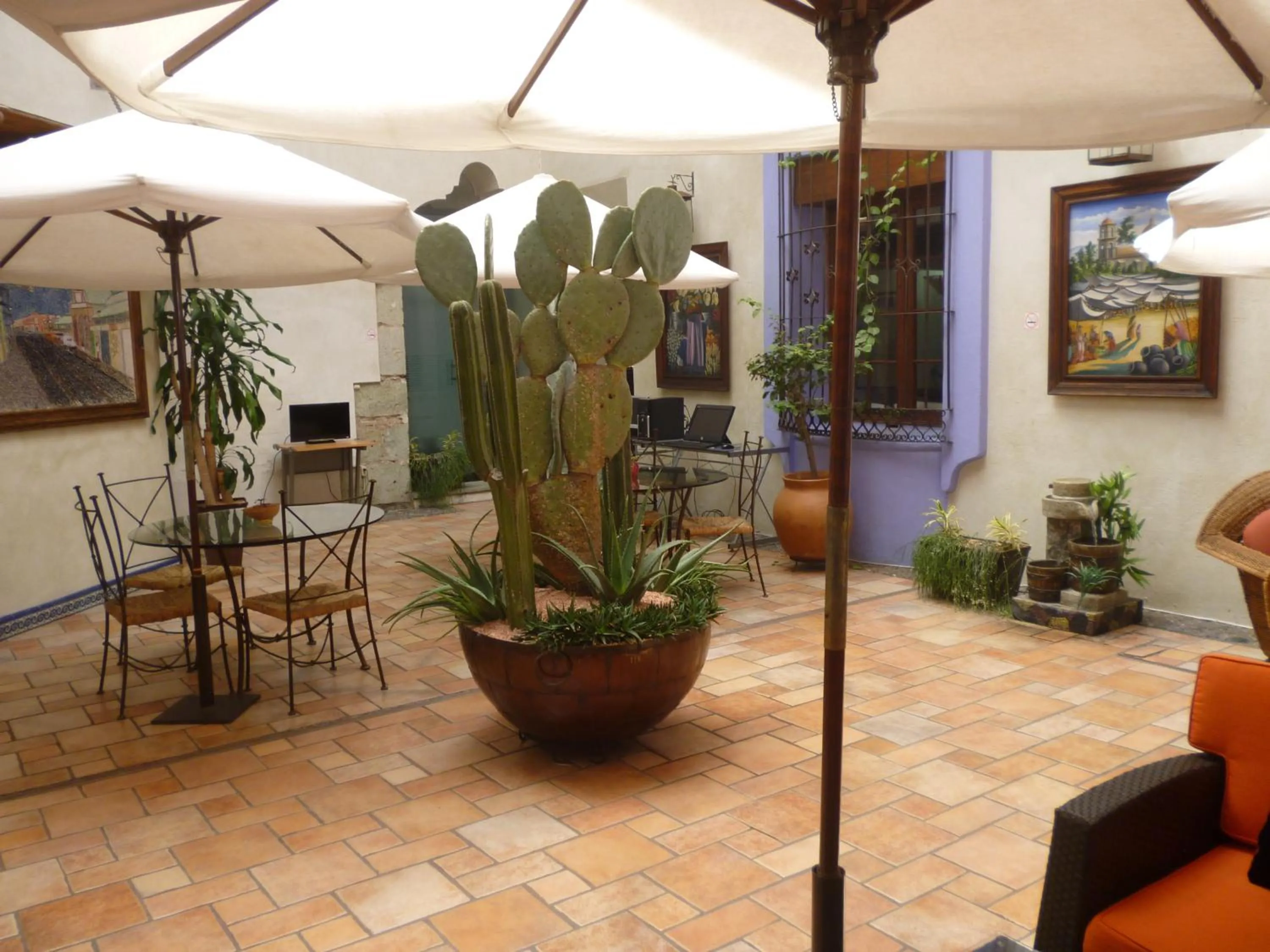 Restaurant/places to eat in Hotel Trébol