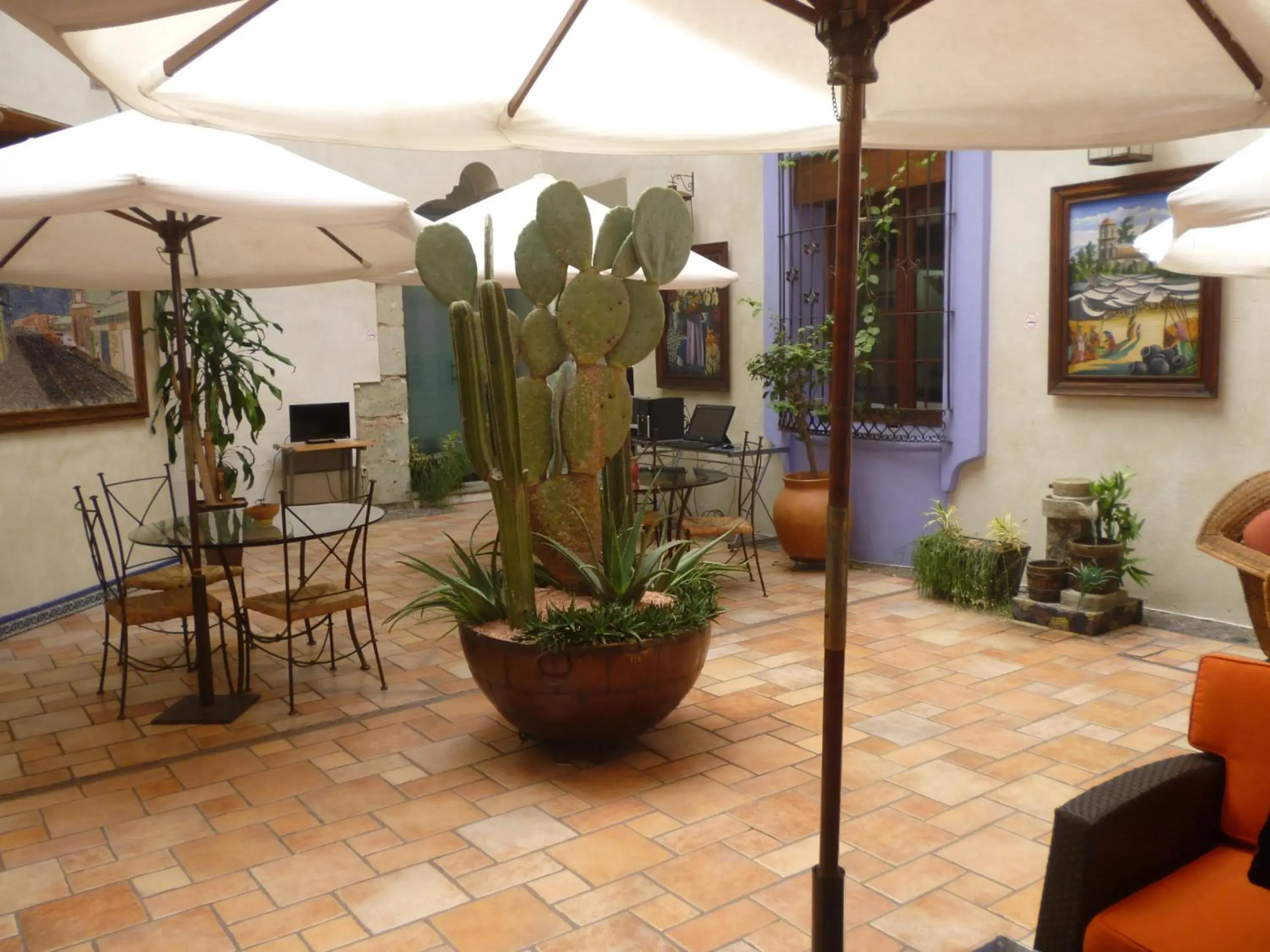 Restaurant/places to eat in Hotel Trébol Restaurant/places to eat in Hotel Trébol