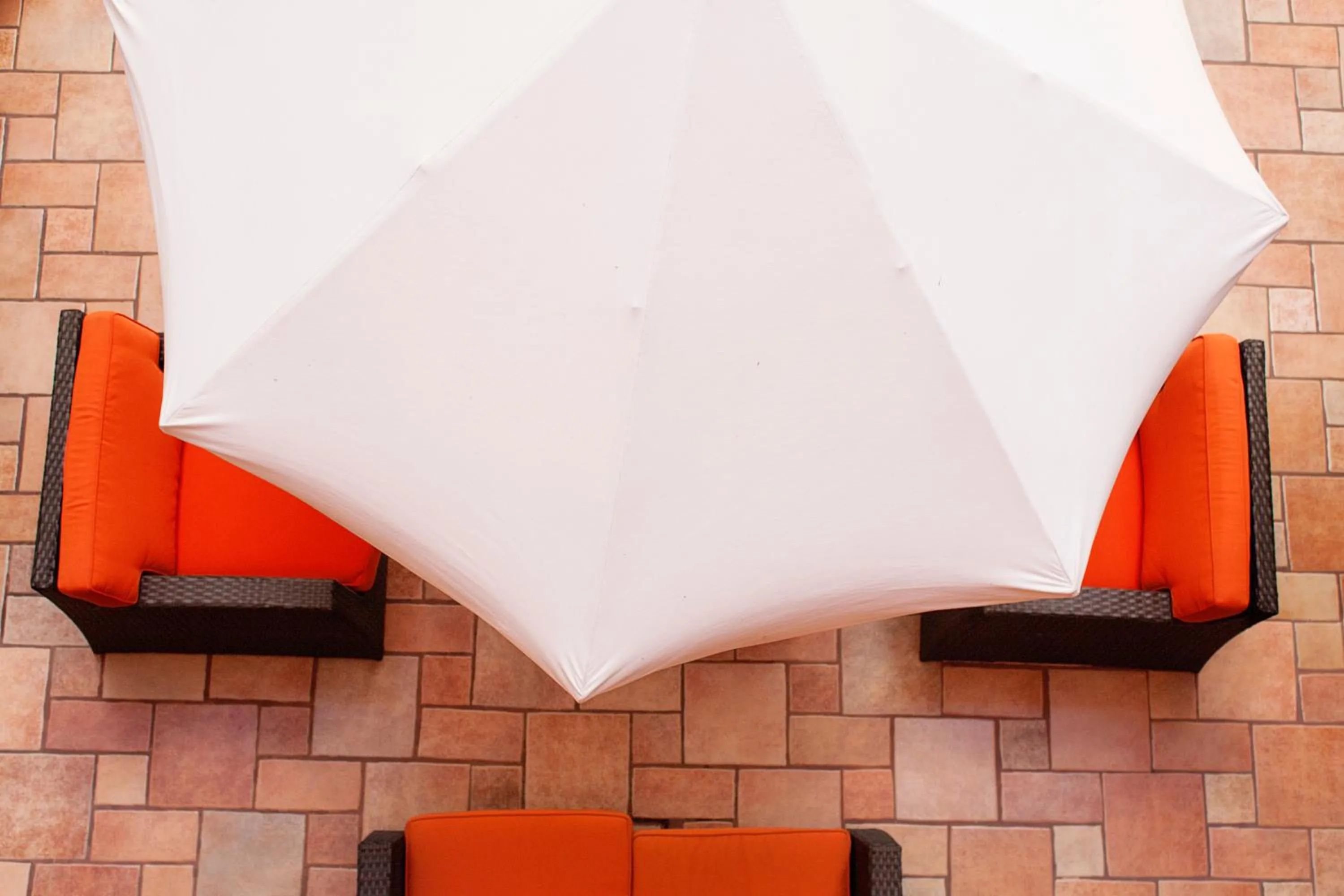 Lounge or bar in Hotel Trébol