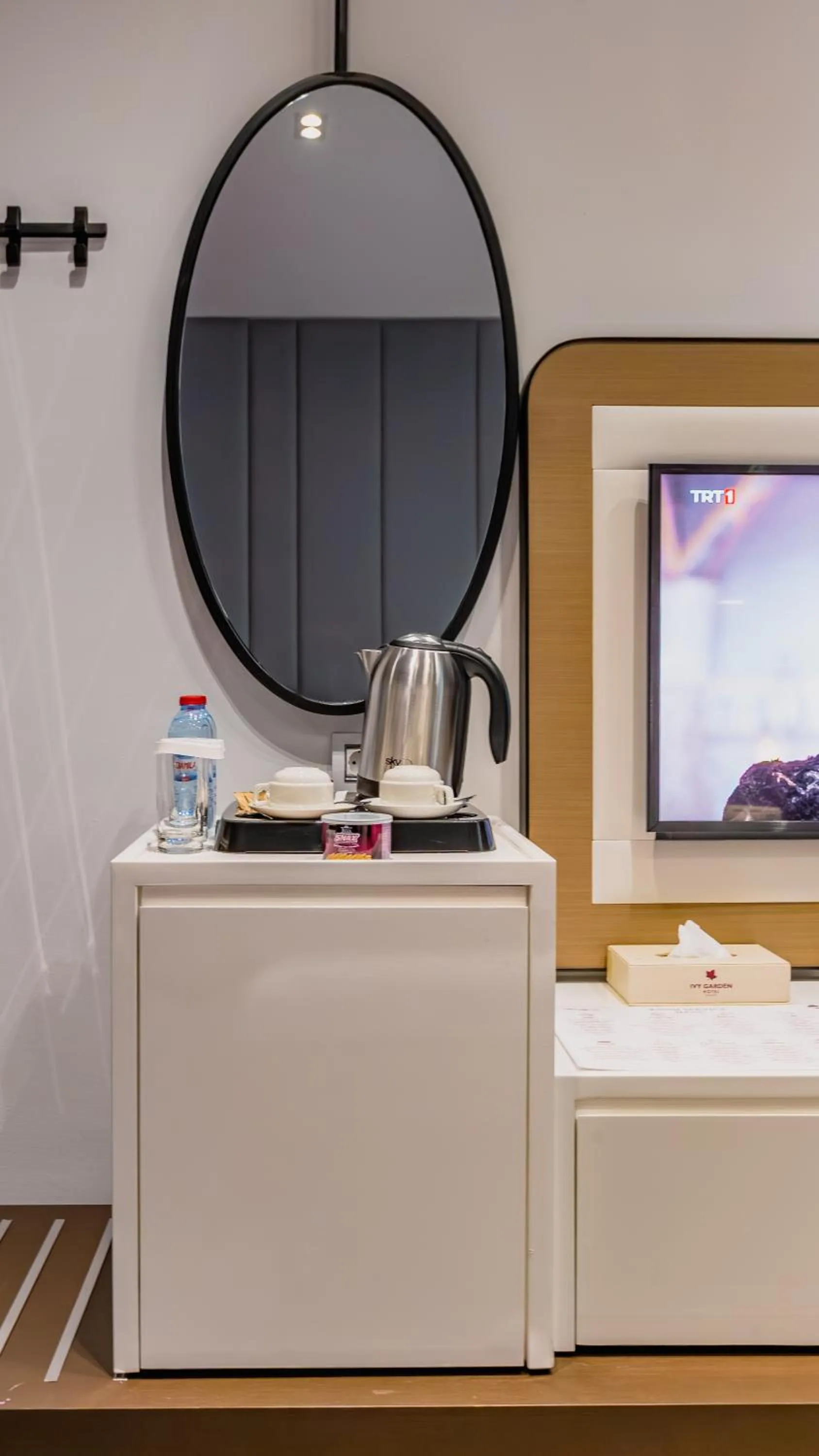 TV and multimedia in Ivy Garden Hotel Baku