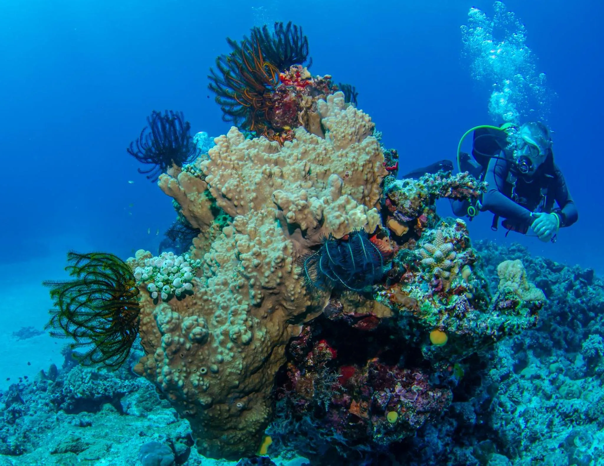 Activities in Tranquility Island Eco Dive Resort