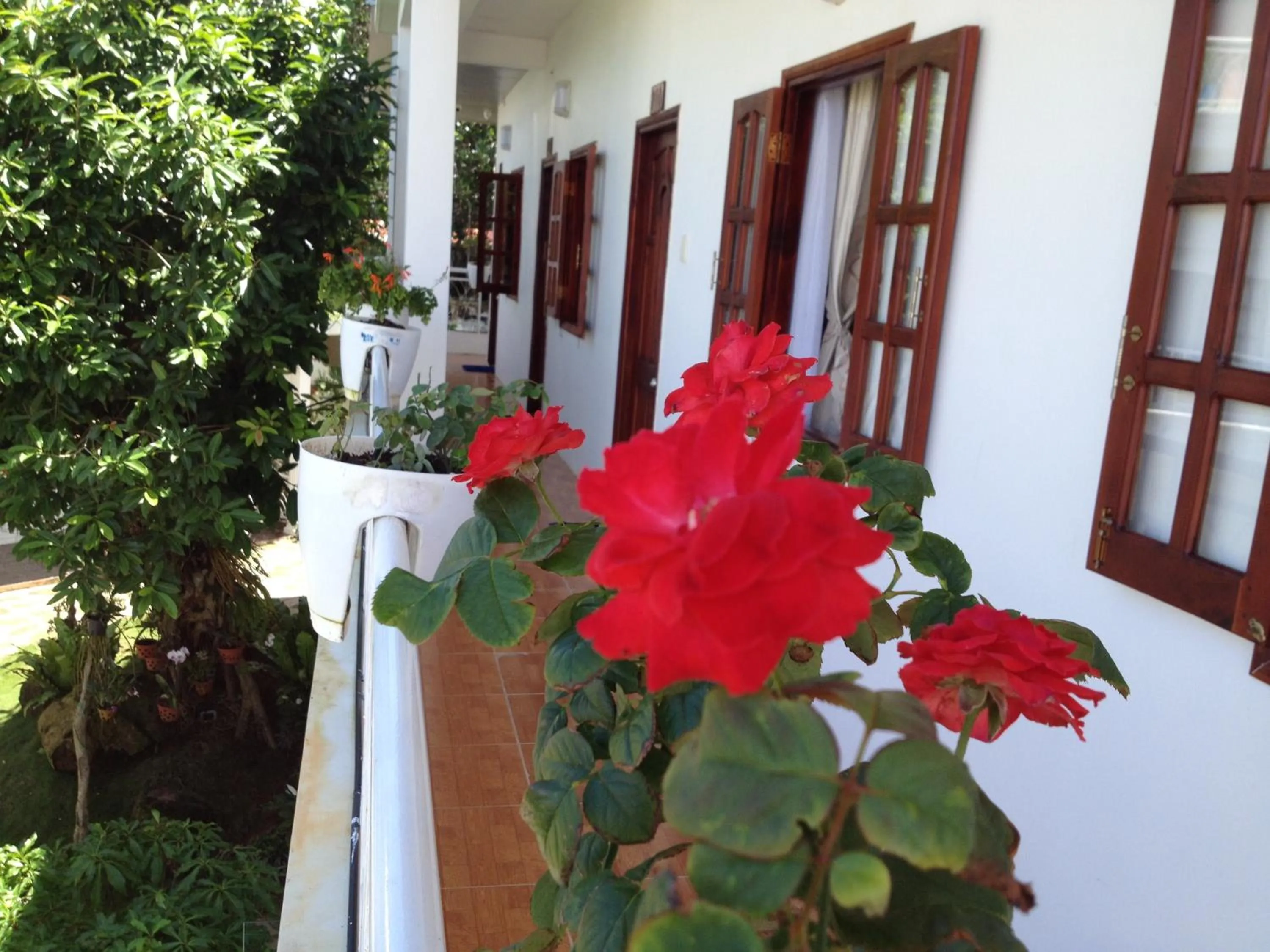 Balcony/Terrace in Suncosy Central Hotel