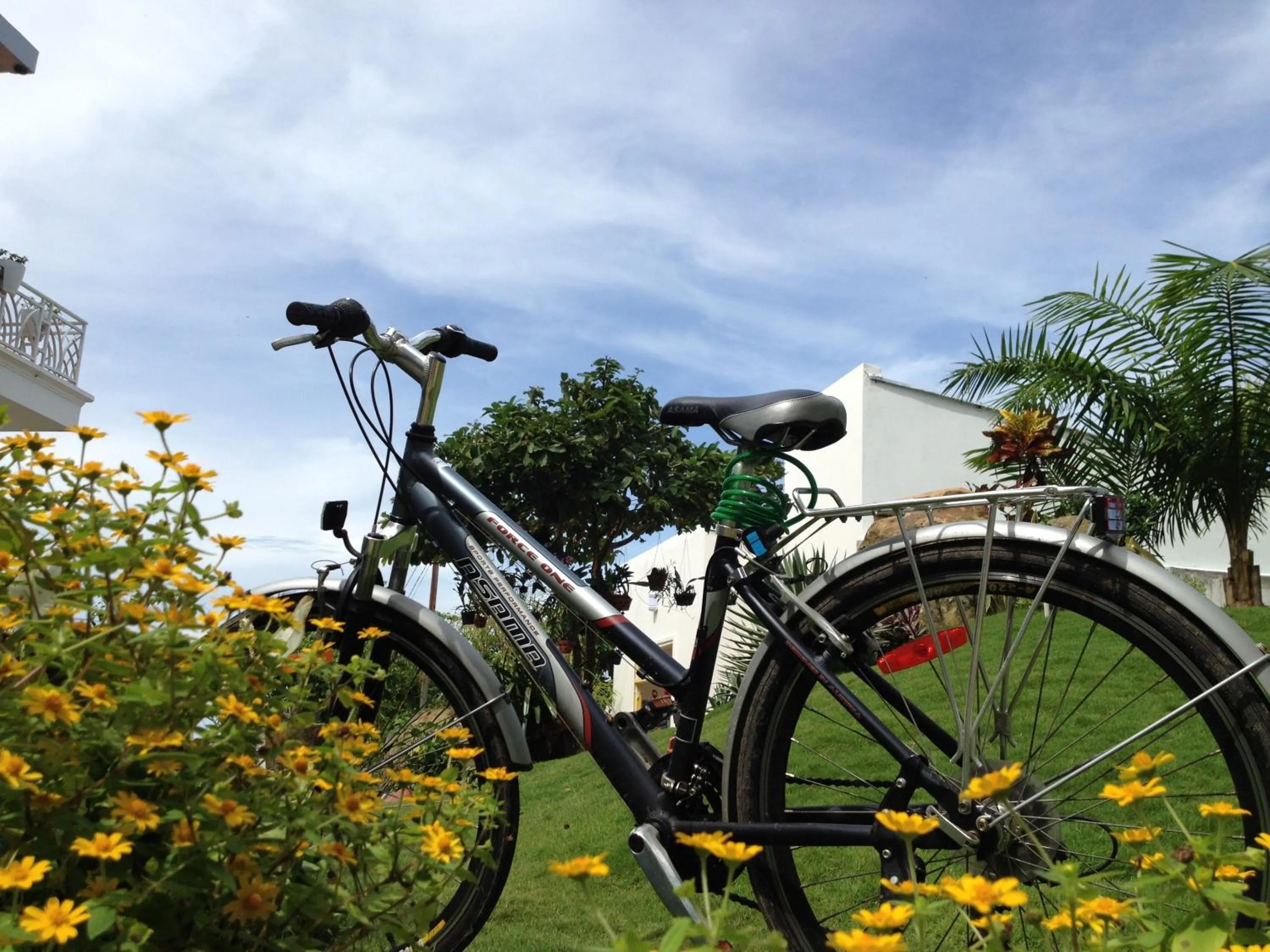 View (from property/room) in Suncosy Central Hotel