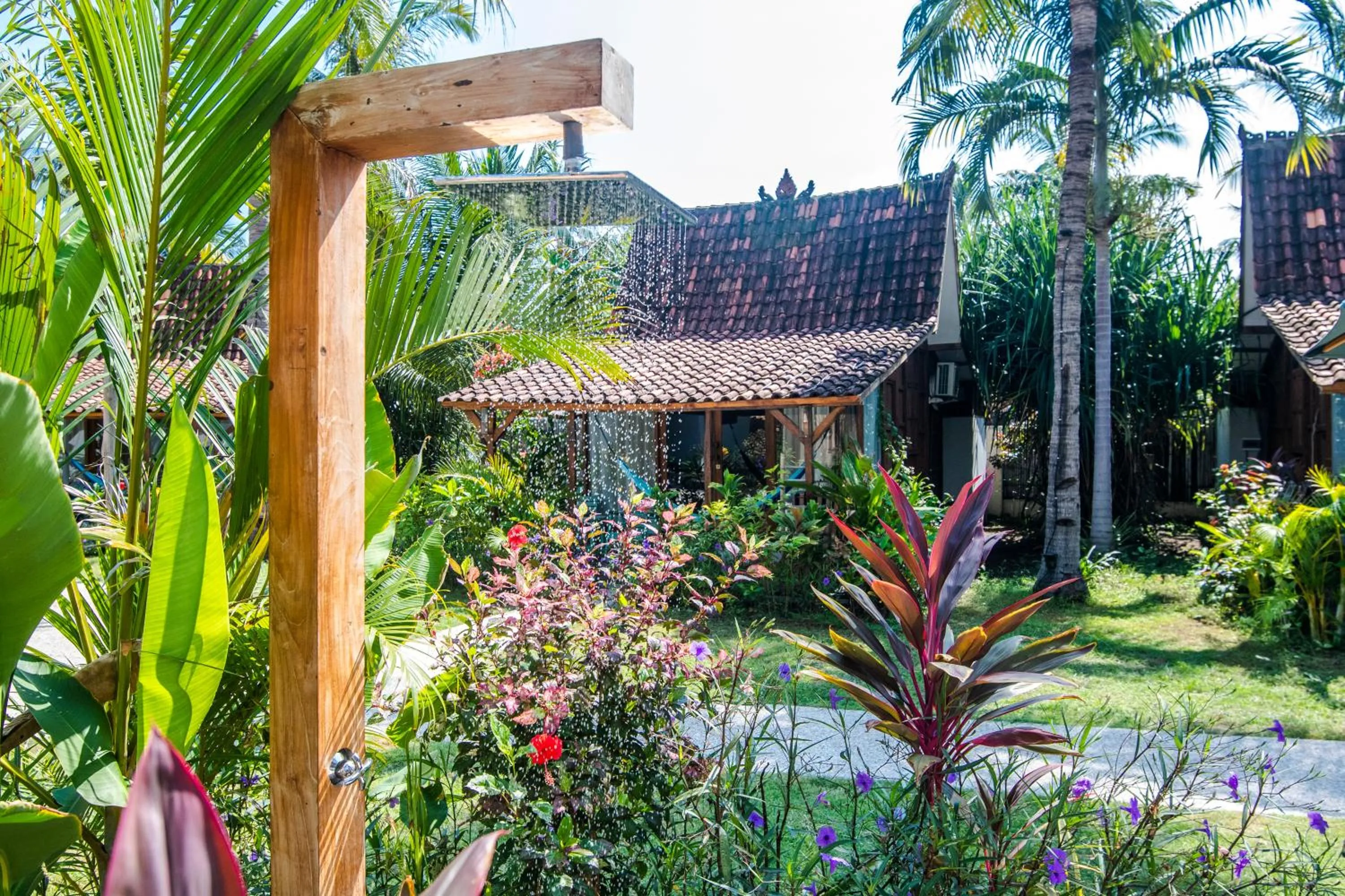 Garden in Coconut Garden Resort