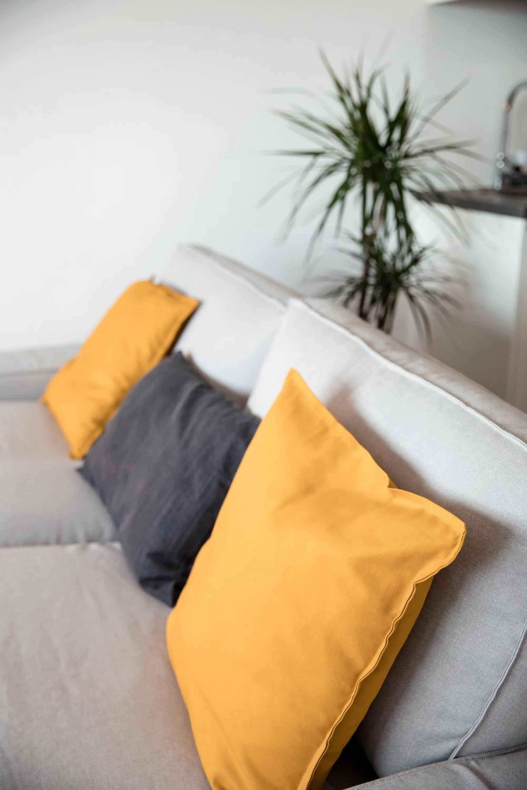 Living room in Slope House