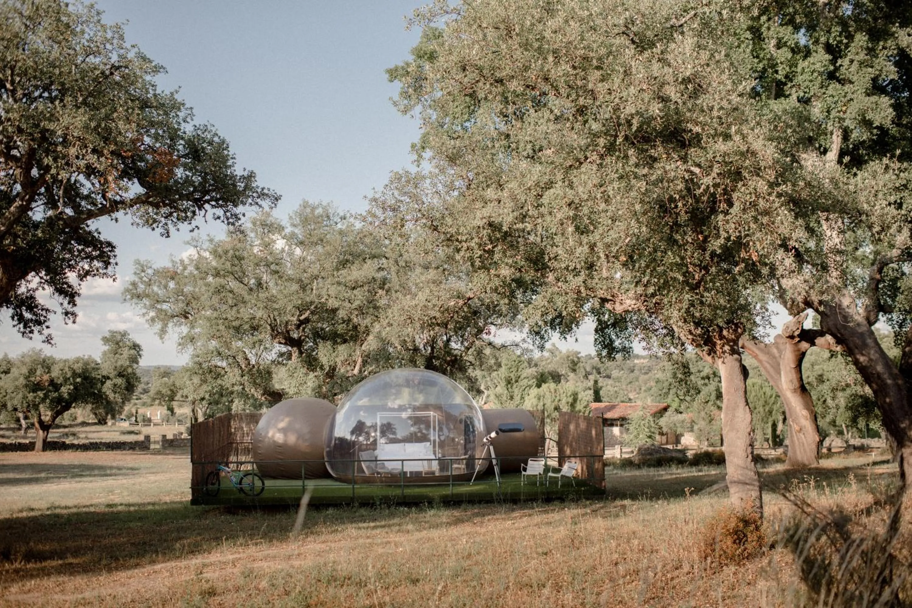 Garden view in Finca El Cortiñal