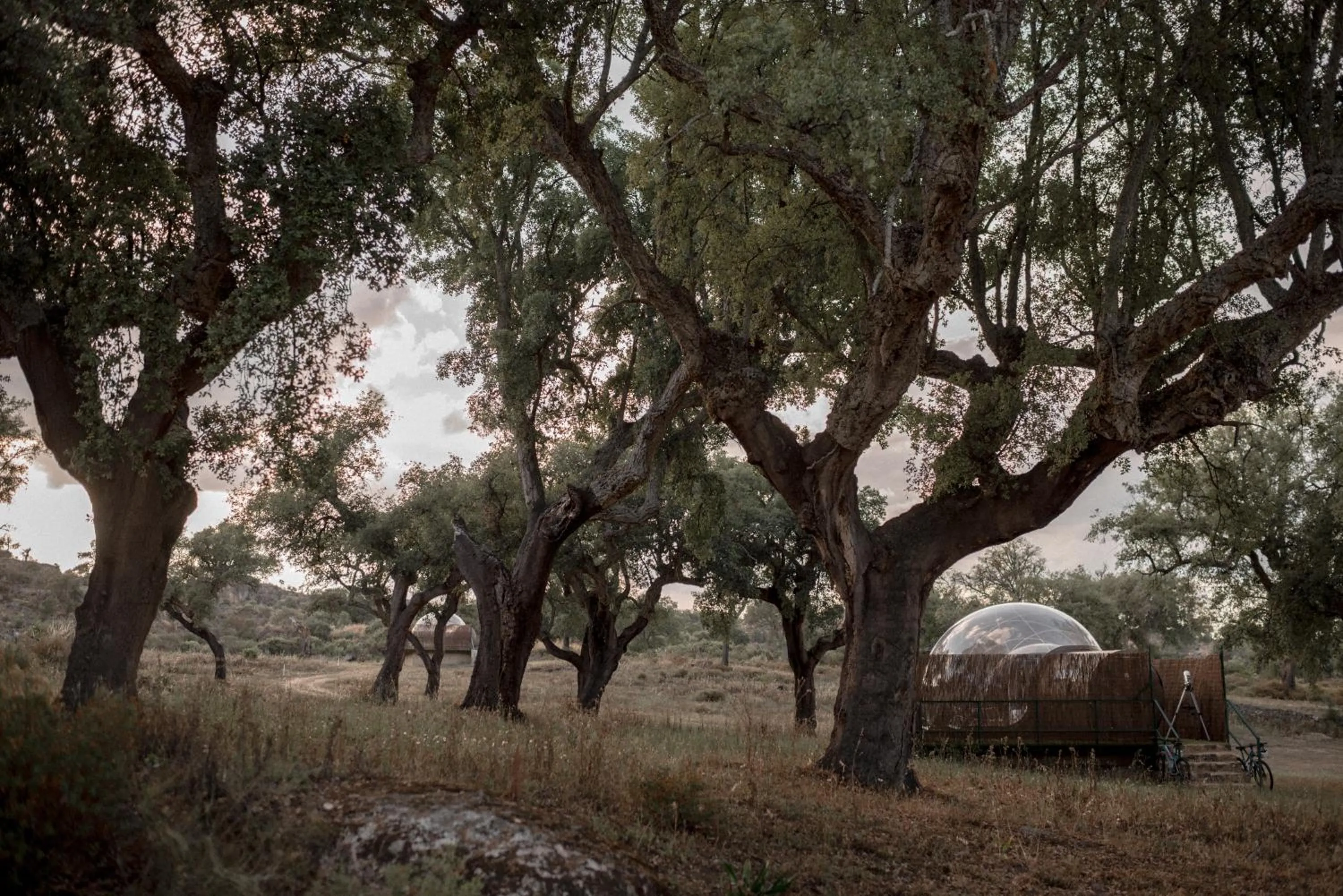 Off site in Finca El Cortiñal