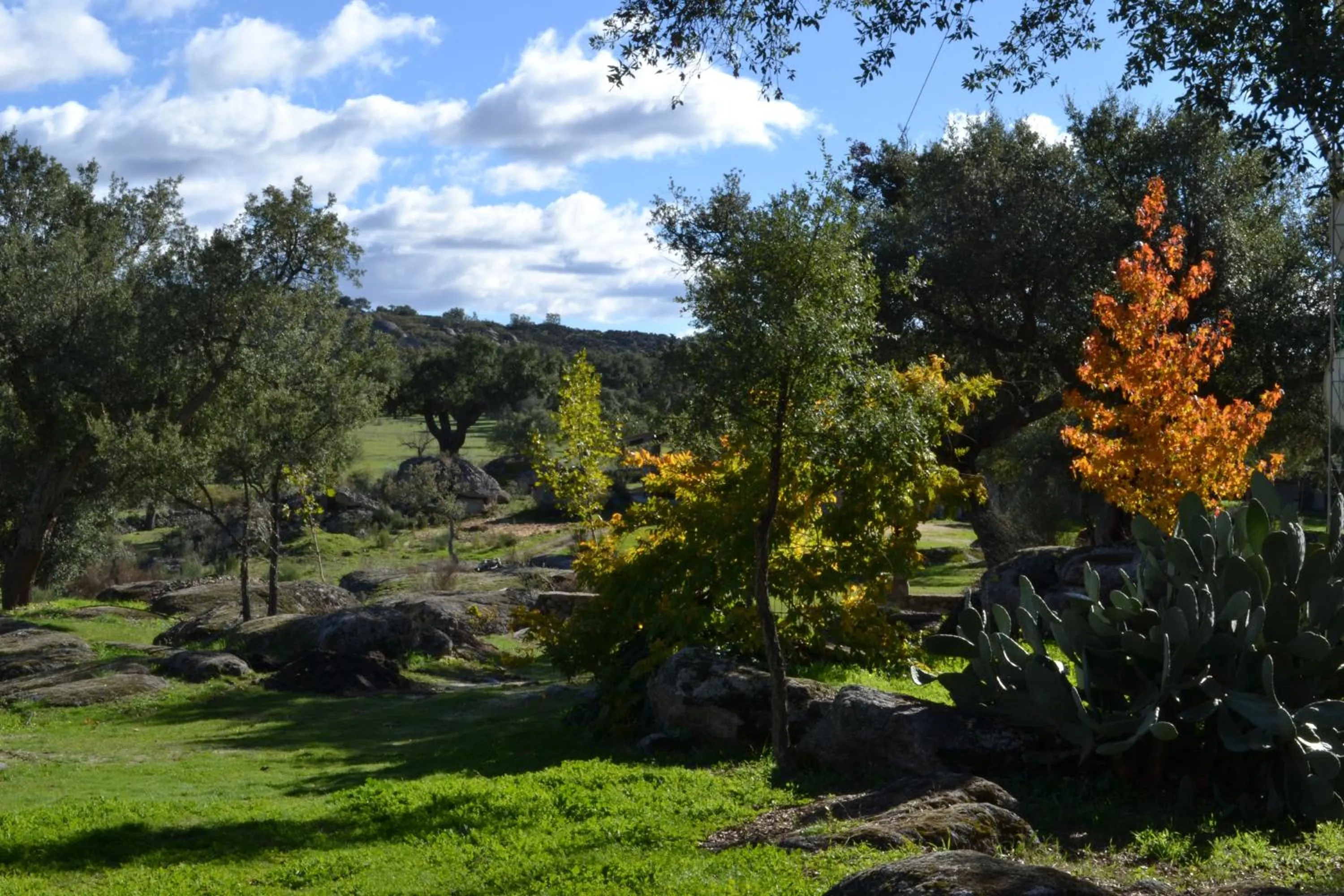 Natural landscape in Finca El Cortiñal