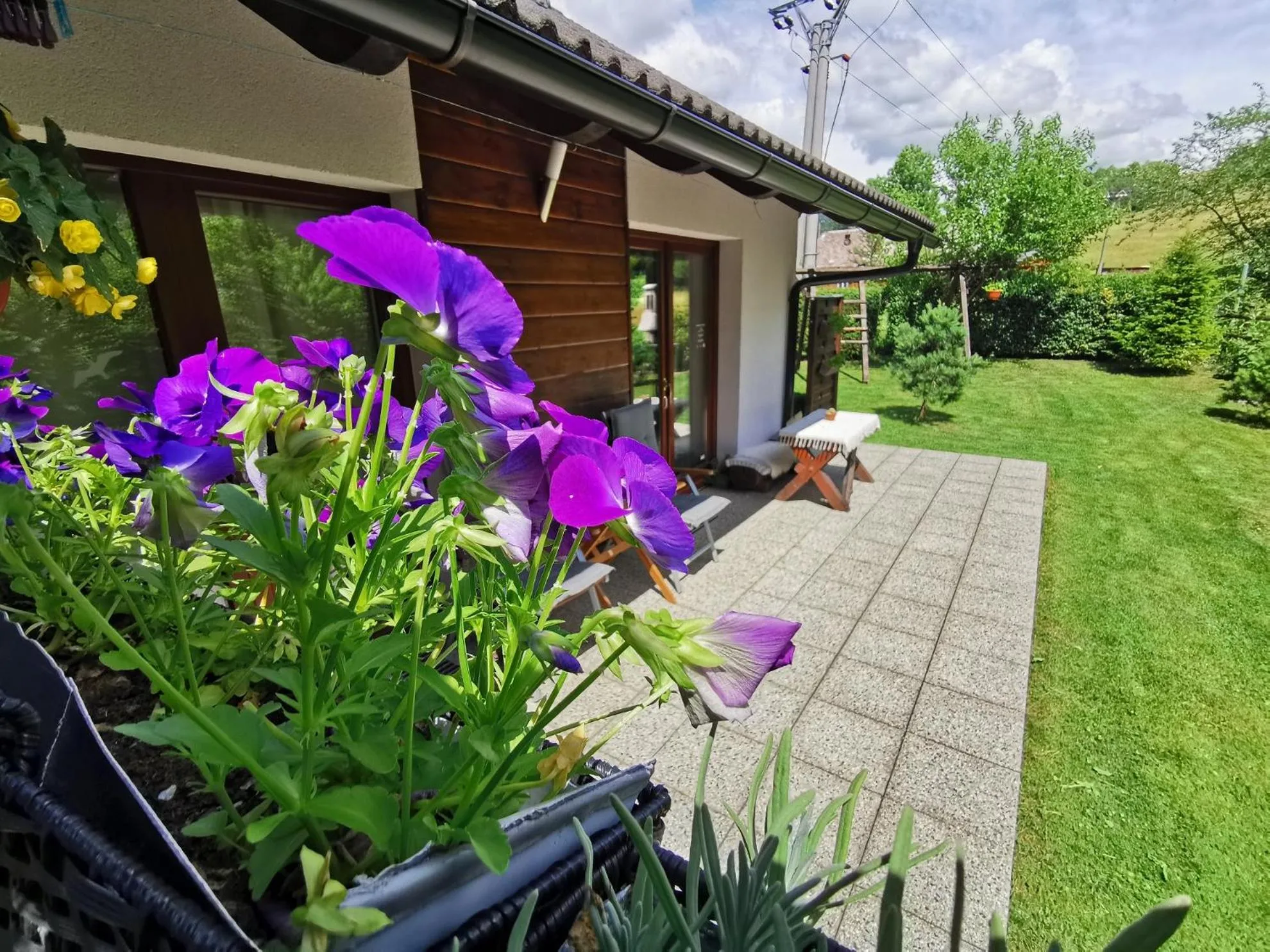 Garden in Apartmany Janosikove diery