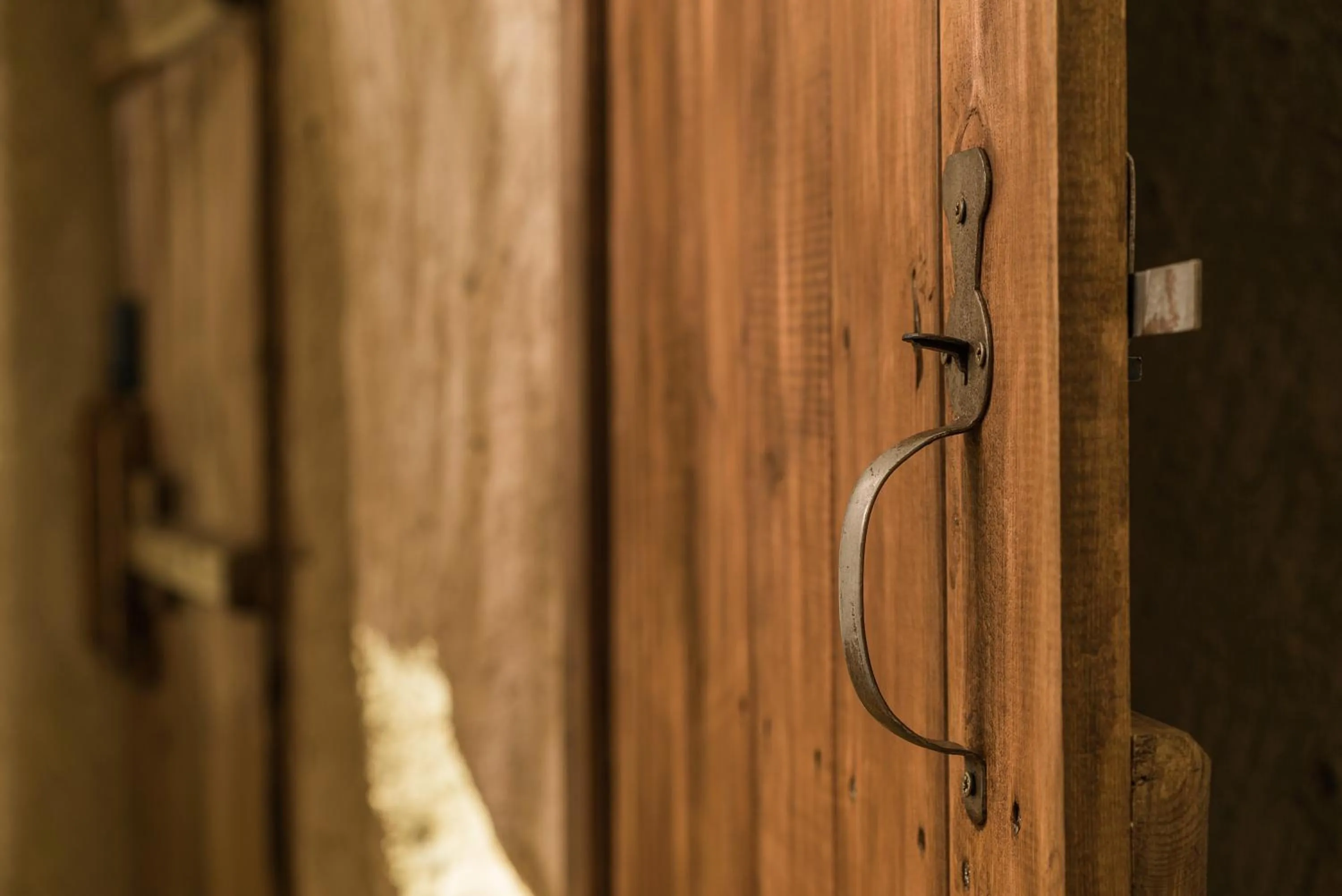 Lobby or reception in Atilla's Cave Hotel