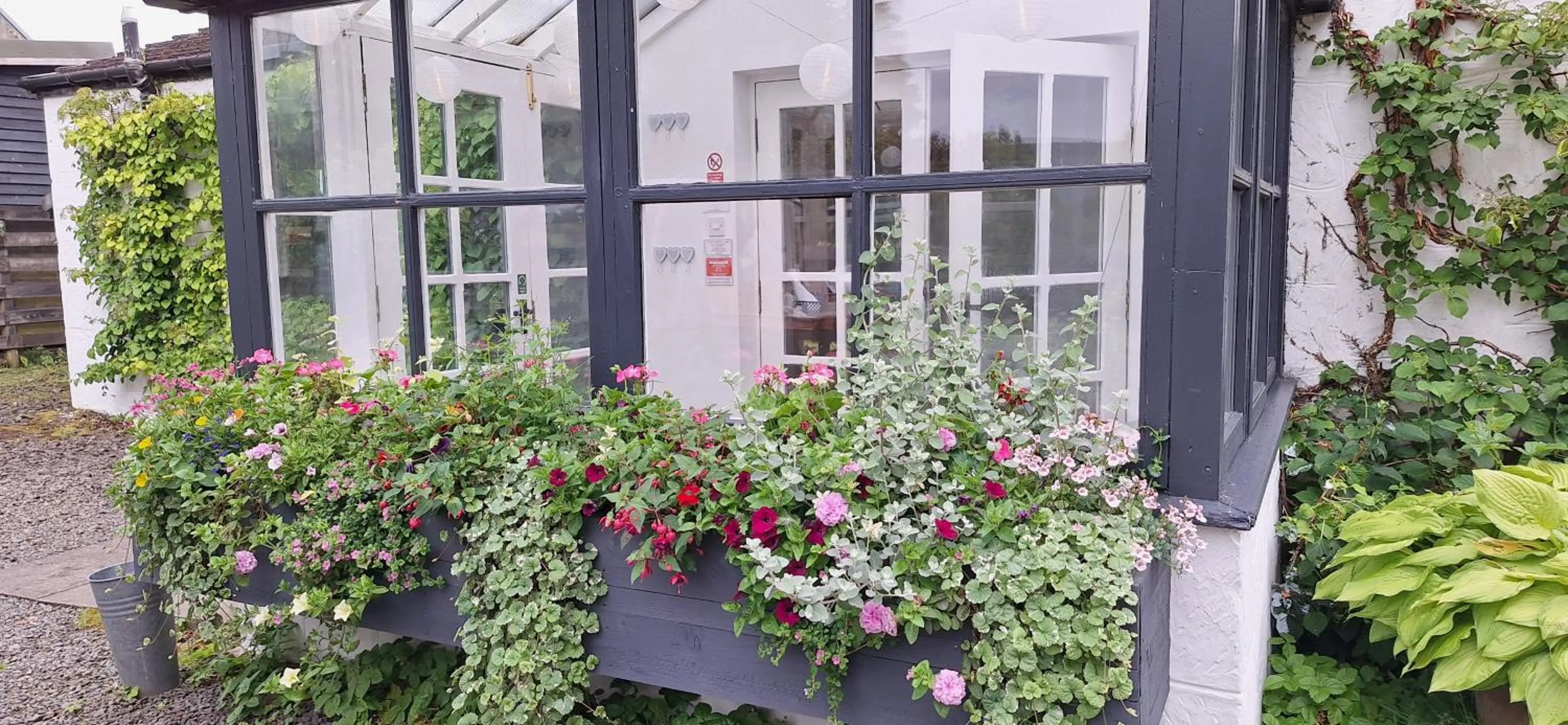 Property building in Lochend Chalets