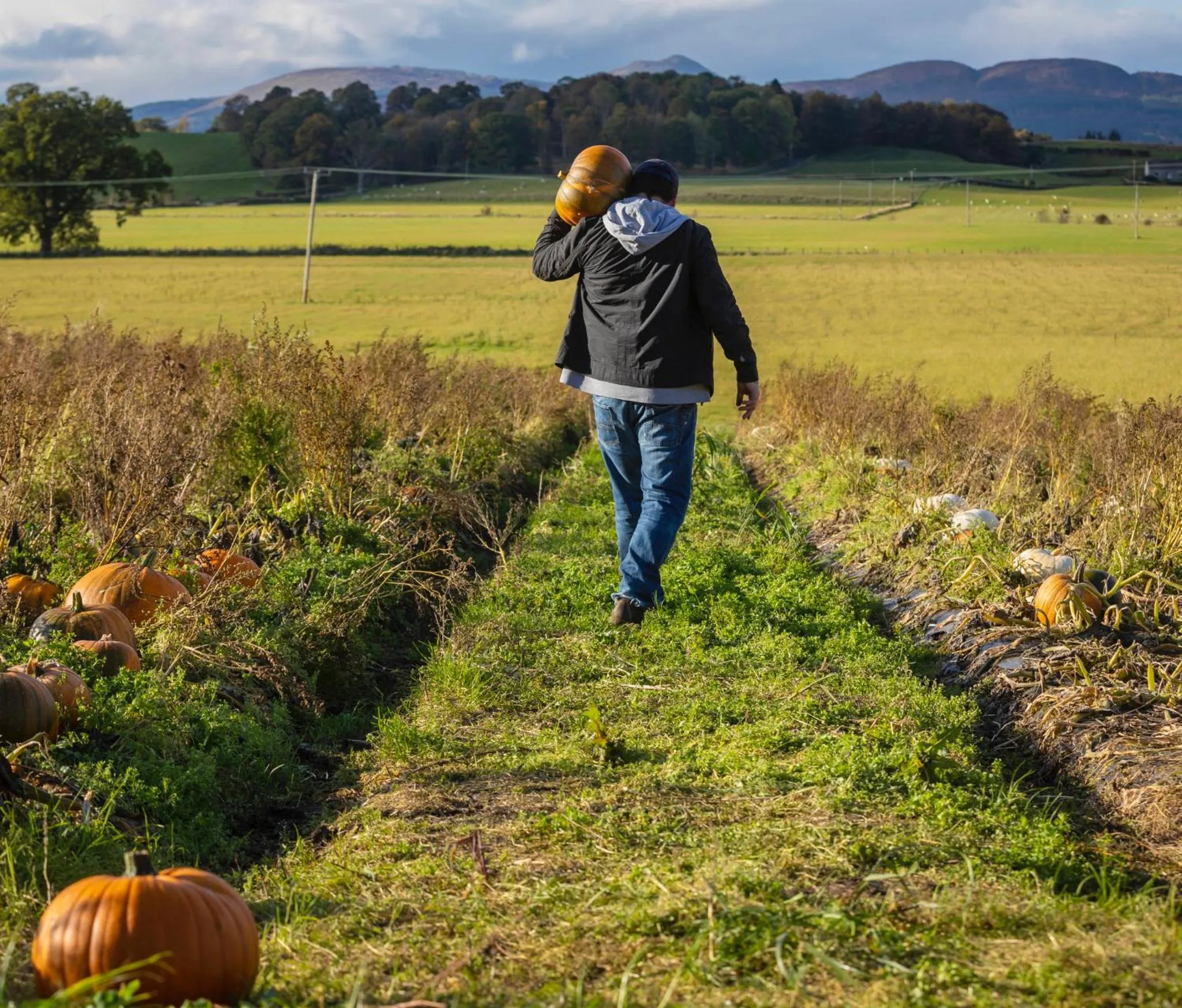 Activities in Lochend Chalets
