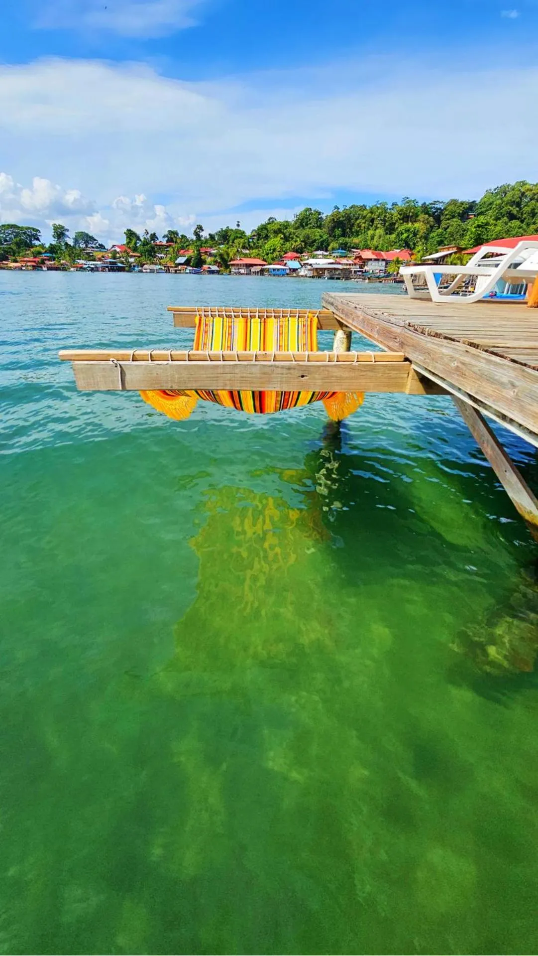 Balcony/Terrace in The Sea Monkey