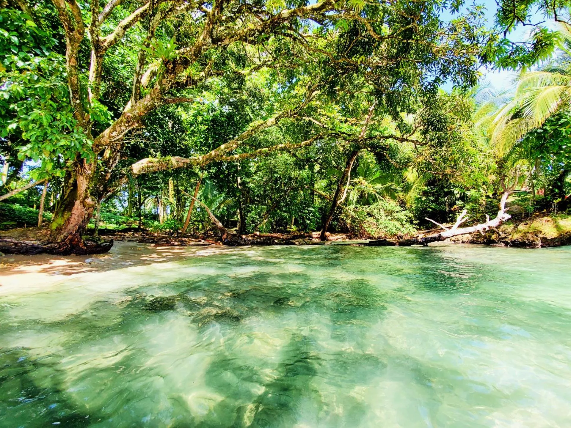 Natural landscape in The Sea Monkey