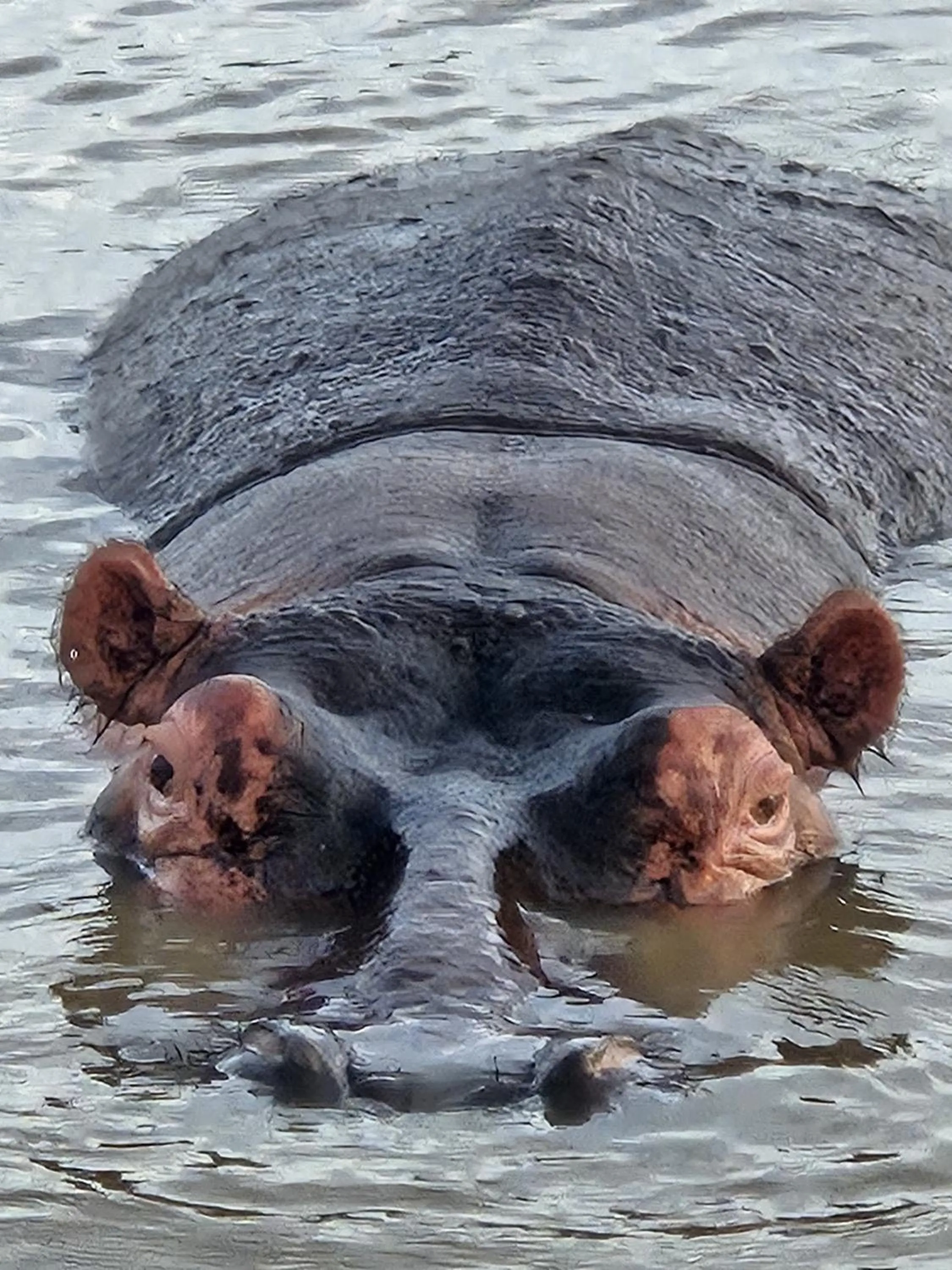 Natural landscape in Whalesong Guest House