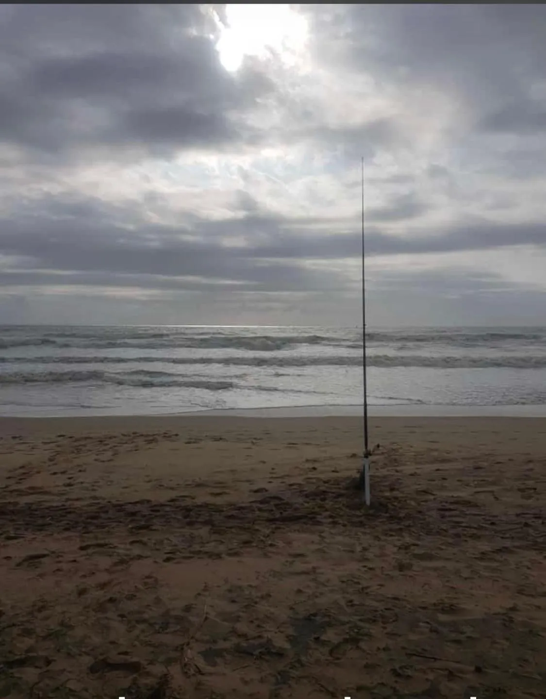 Fishing in Whalesong Guest House