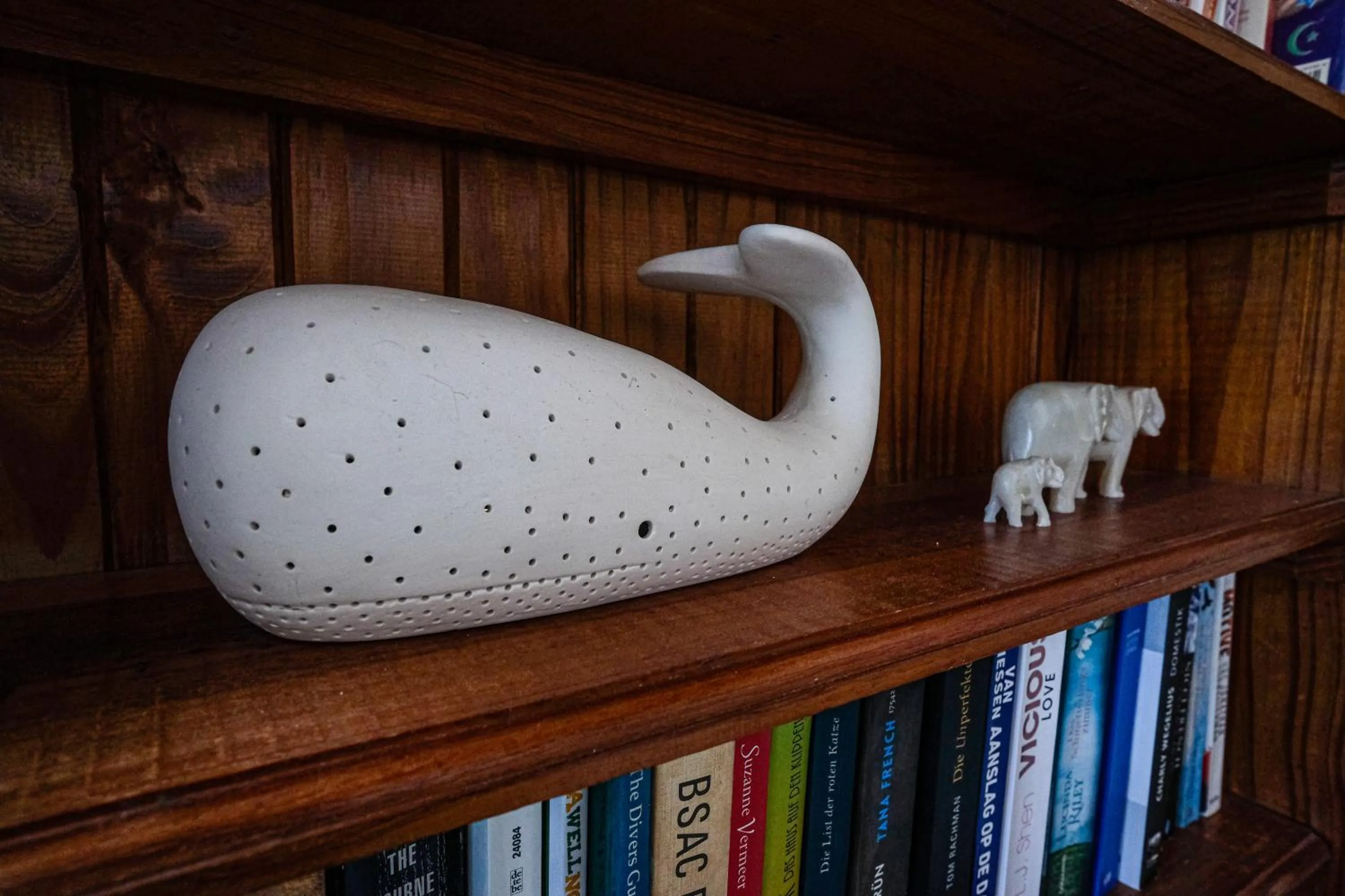 Library in Whalesong Guest House