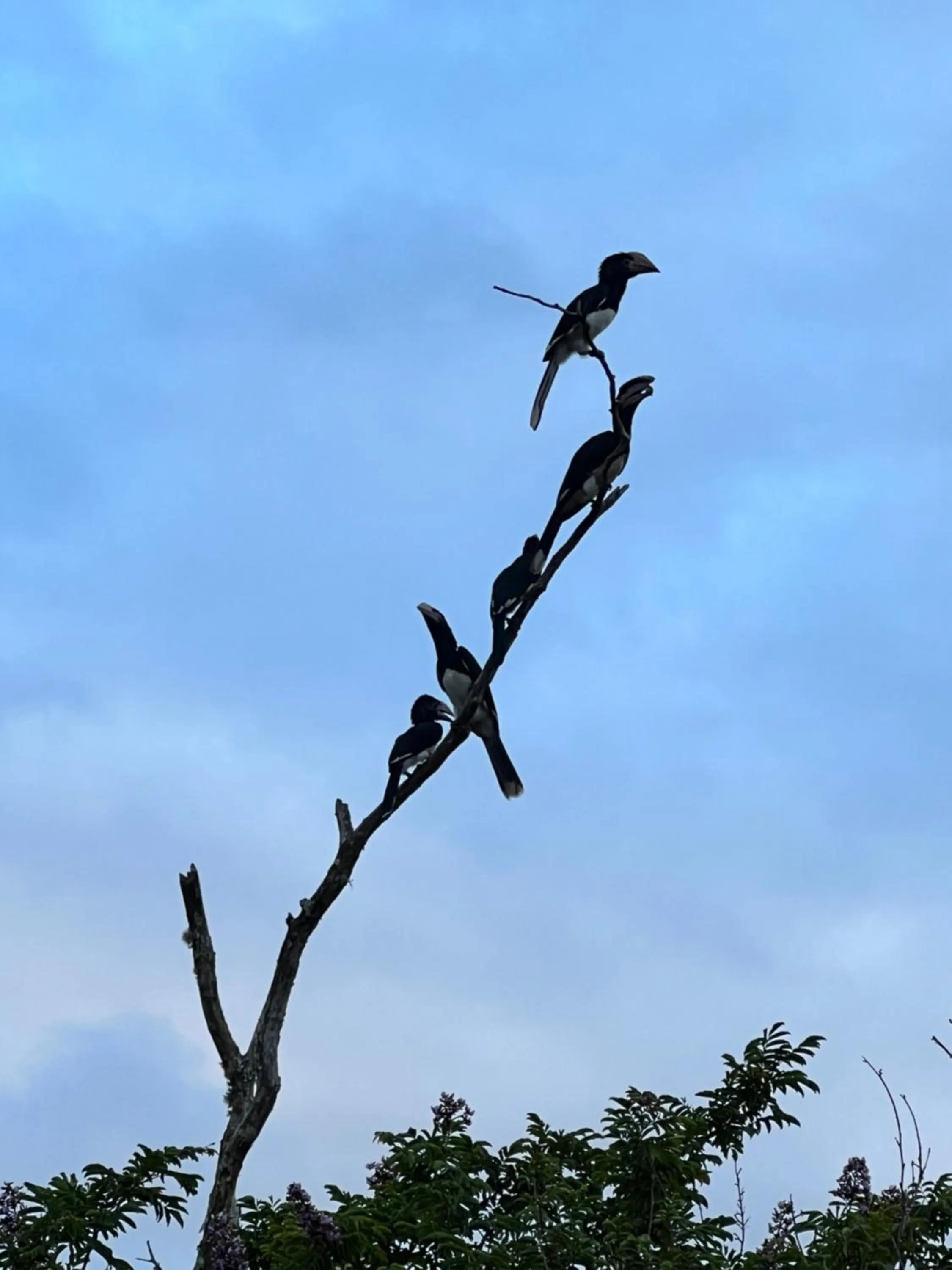 Day in Whalesong Guest House