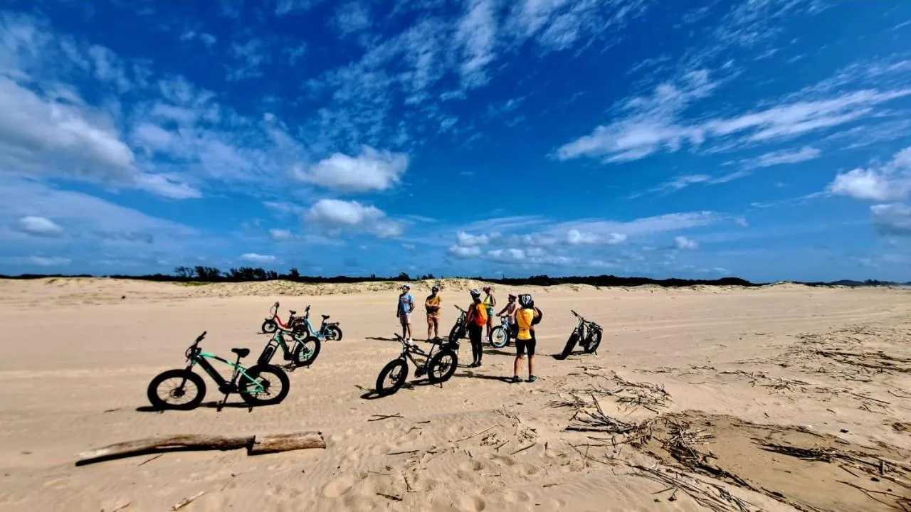 Activities in Whalesong Guest House