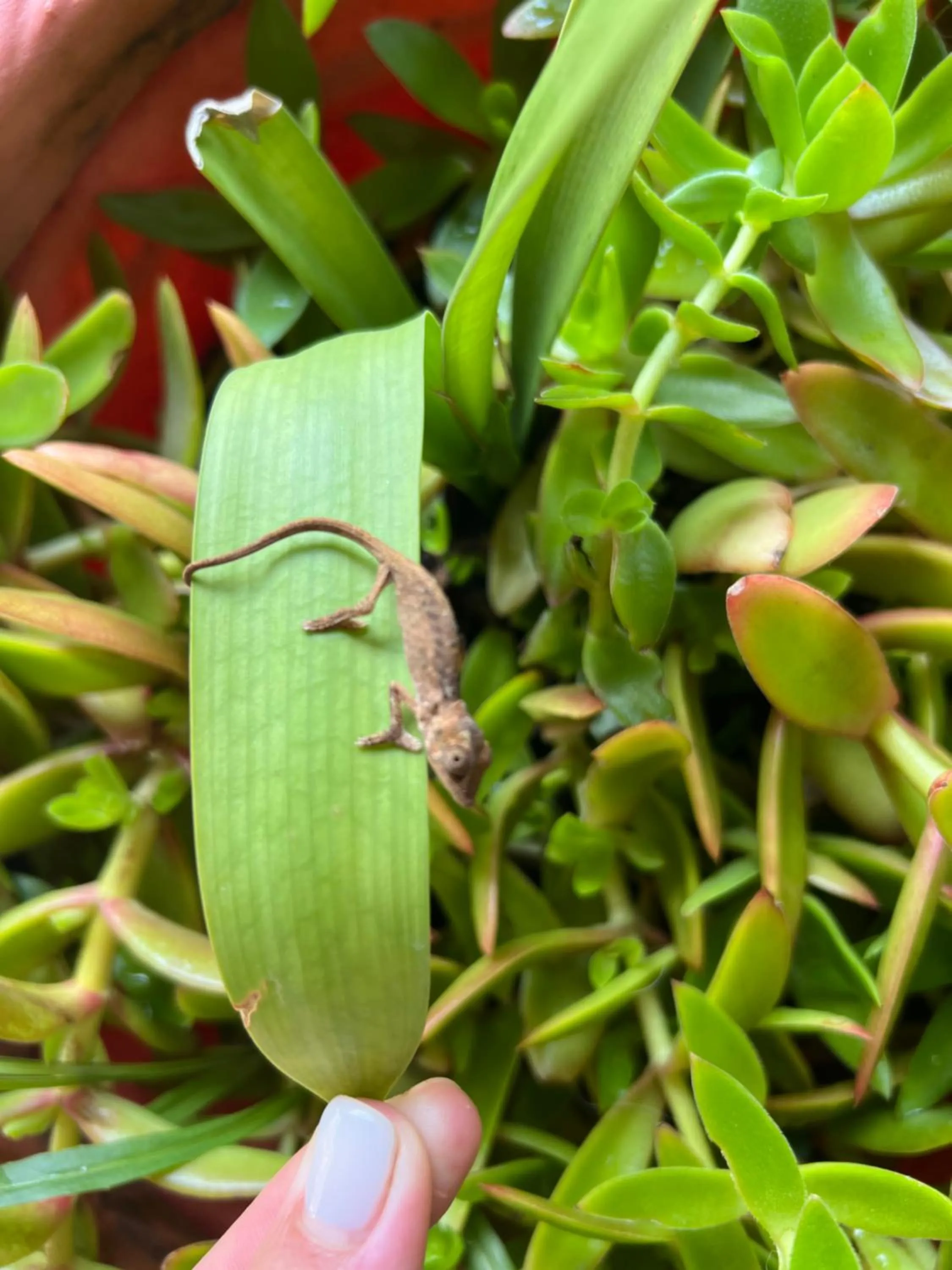 Property building in Whalesong Guest House