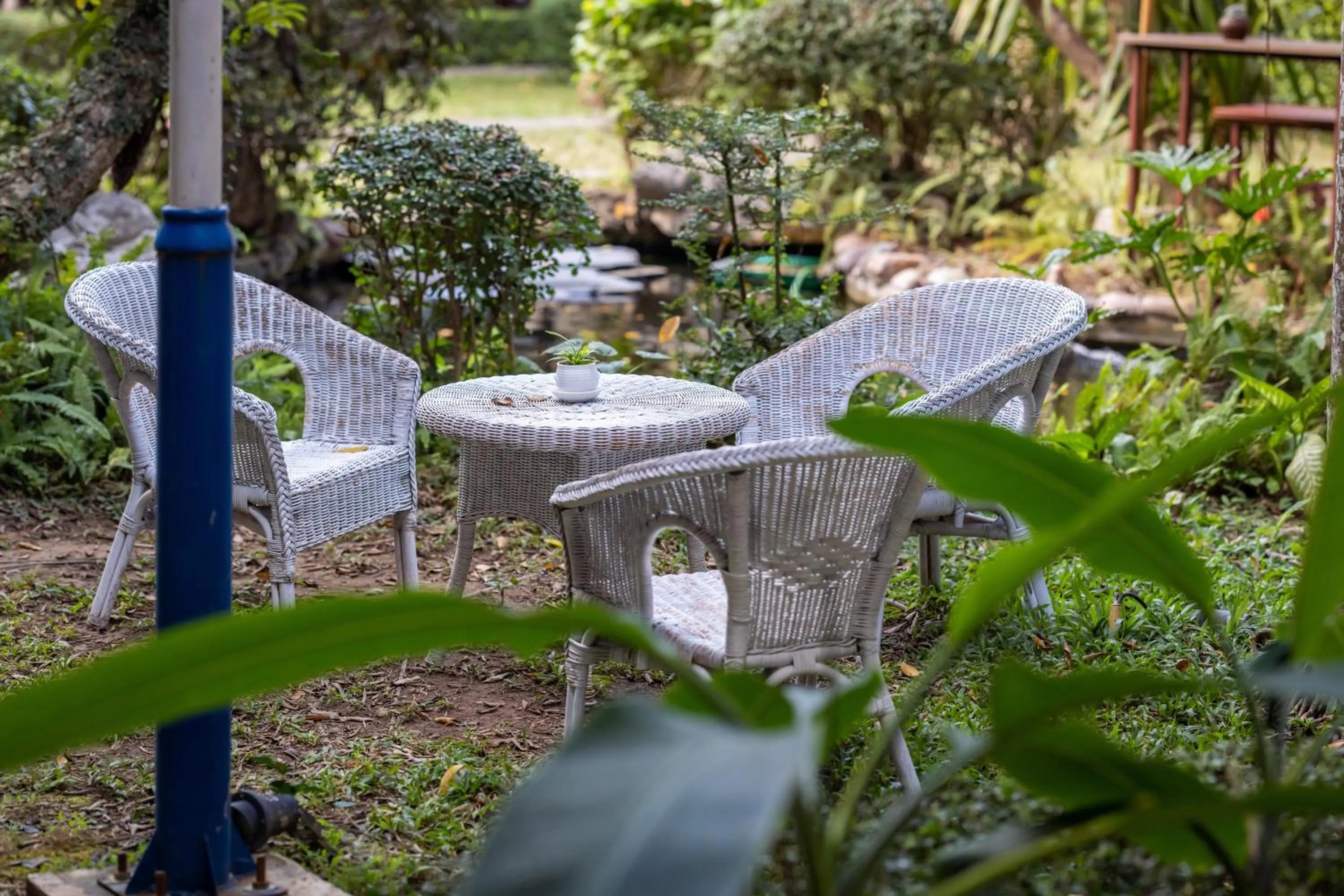 Garden in Sada Hotel