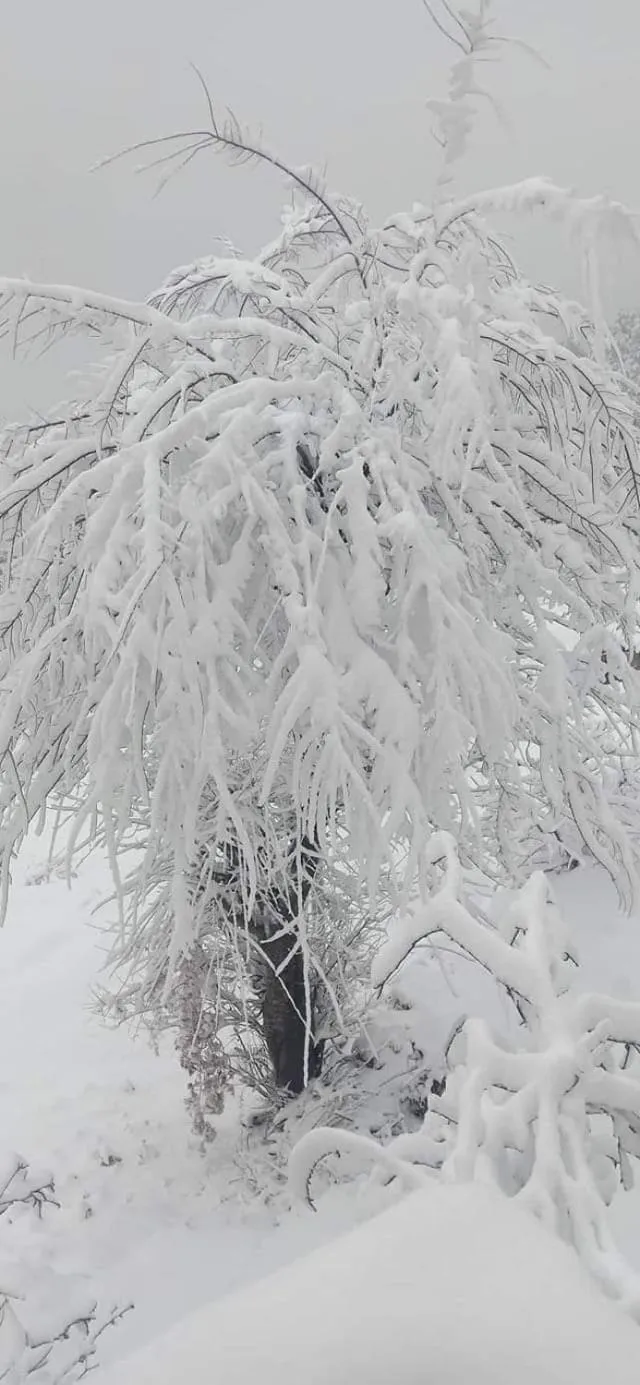 Natural landscape in Hotel Devlok Primal