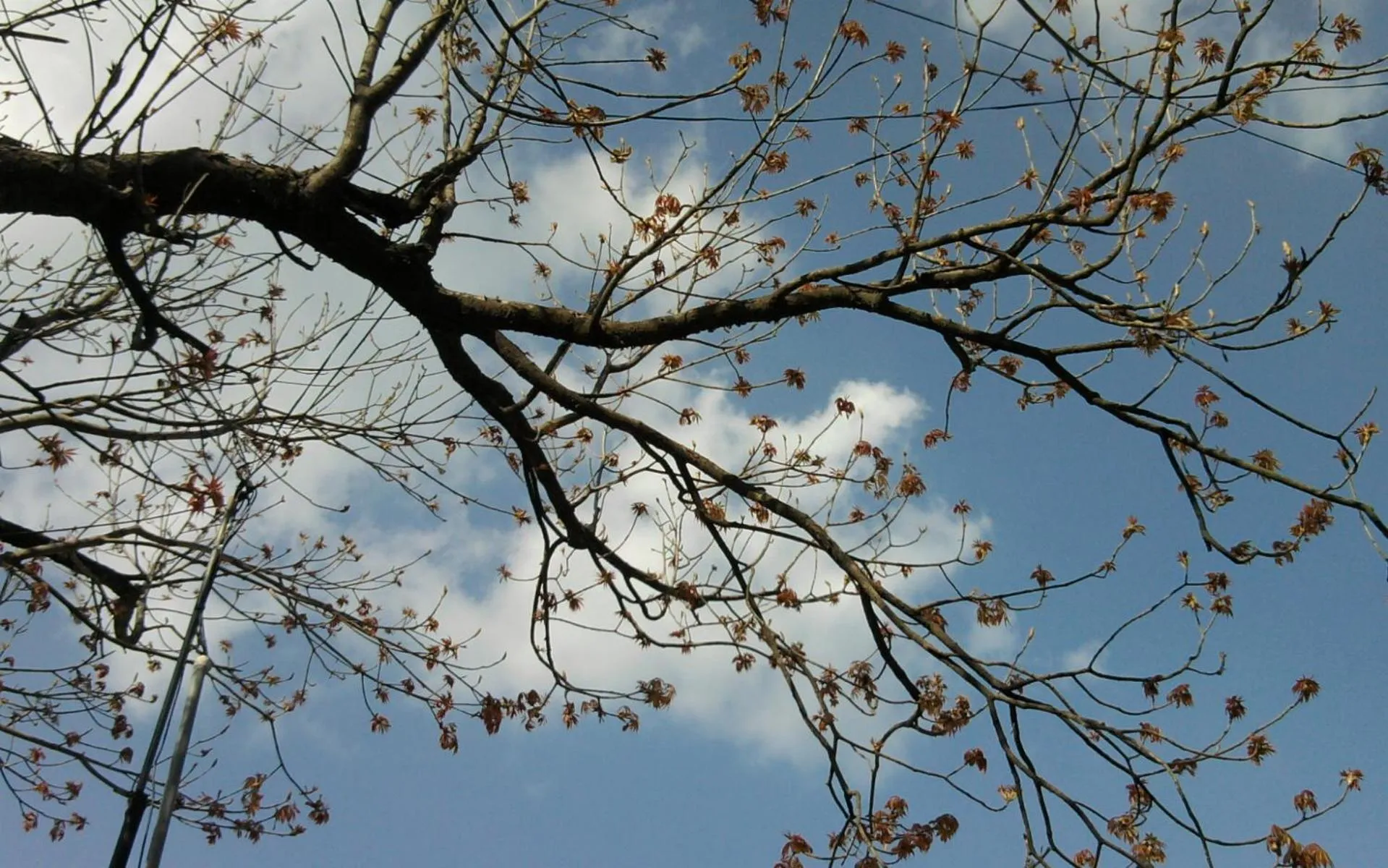 Property building in Hotel Devlok Primal