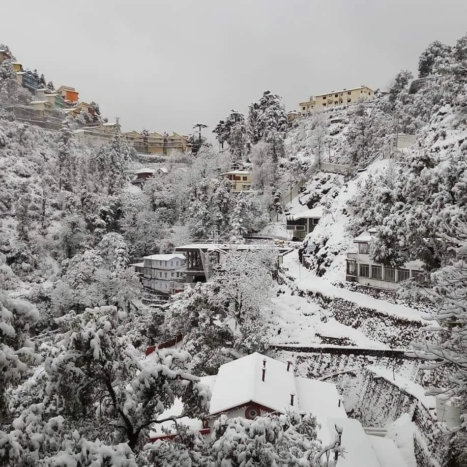 Natural landscape in Hotel Devlok Primal