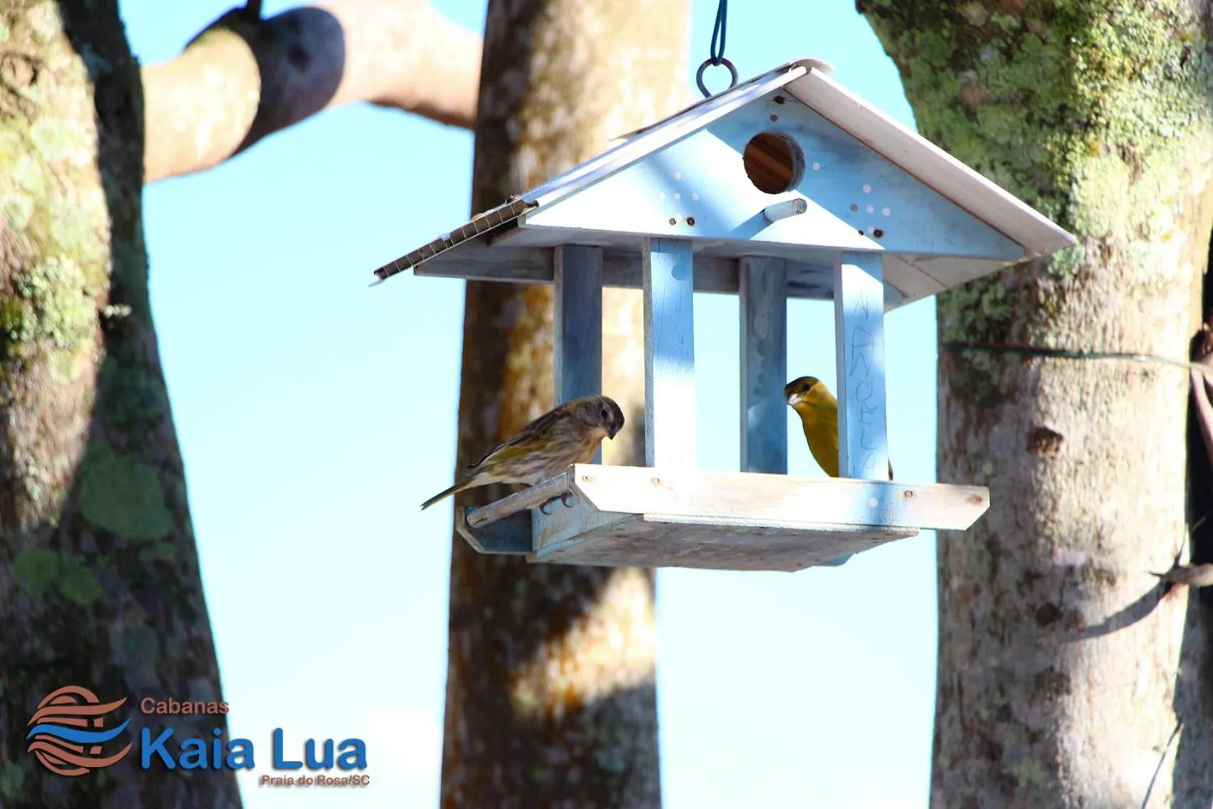 Text overlay in Pousada Cabanas Kaia Lua