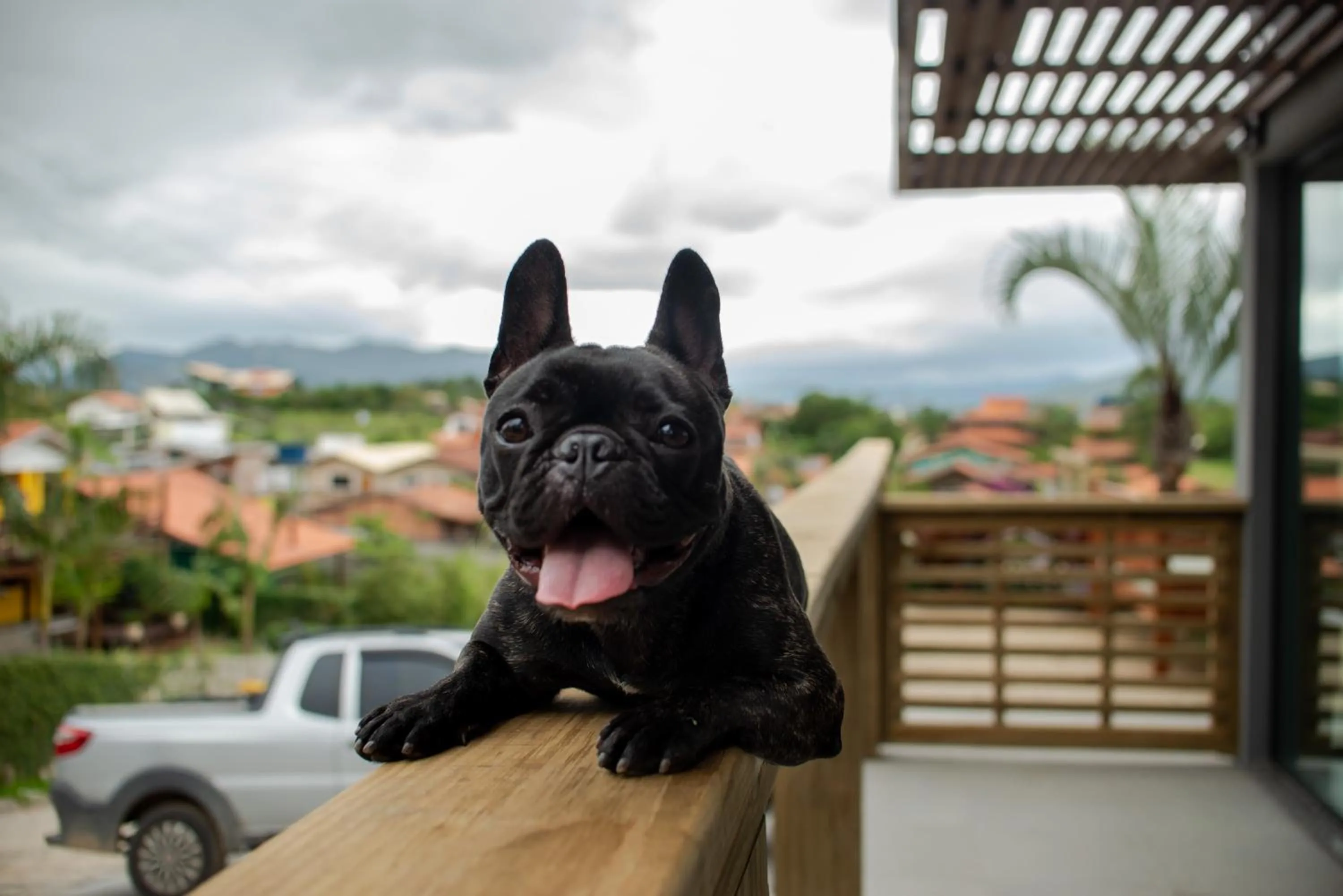 Pets in Pousada Cabanas Kaia Lua