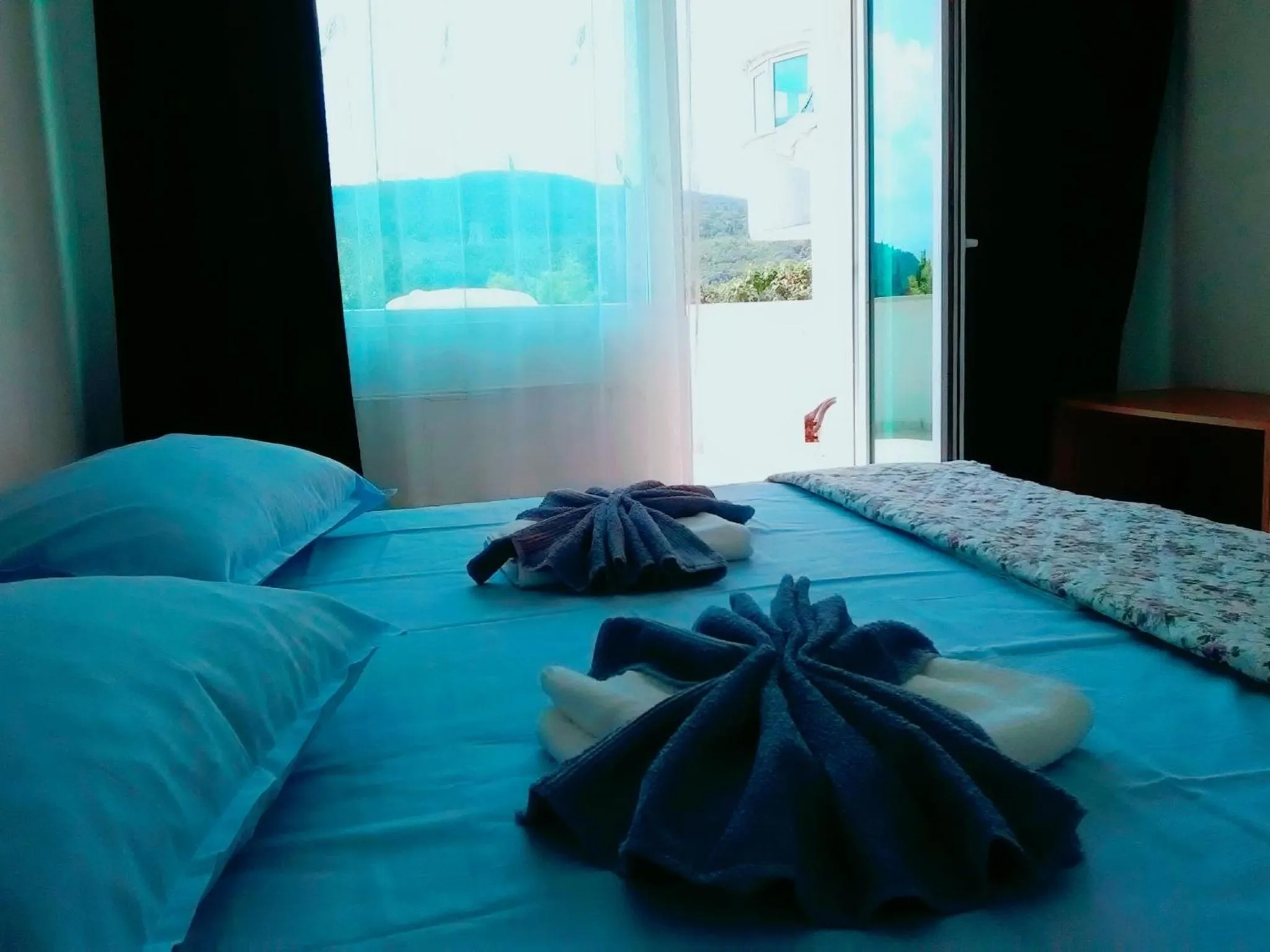 Photo of the whole room, Bed in Hotel Veronika