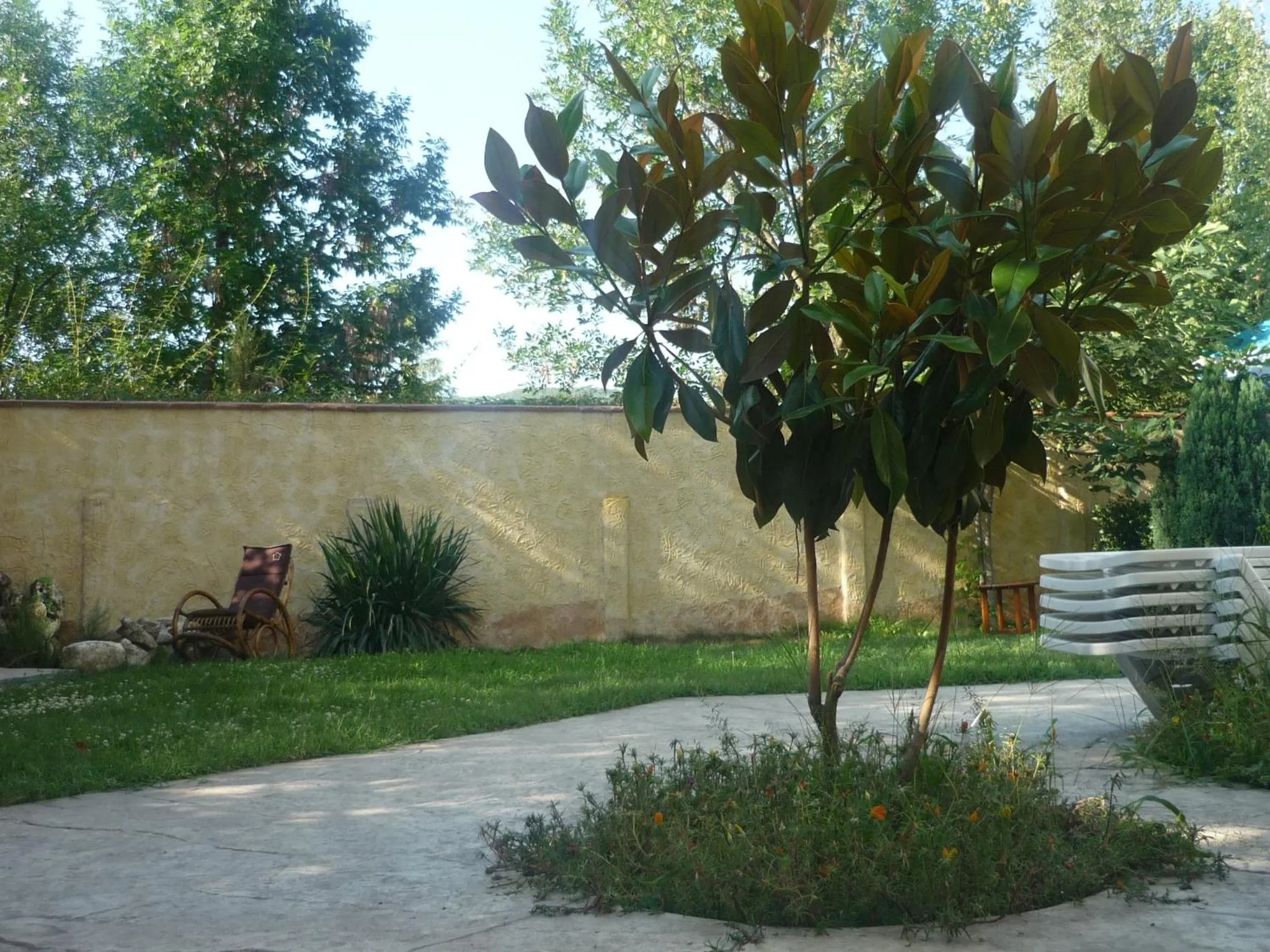 Garden in Hotel Veronika