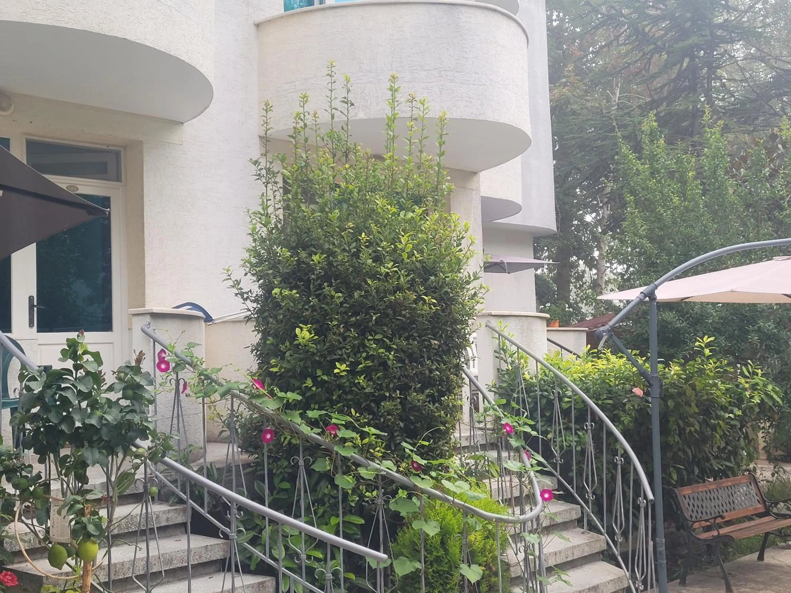 Property building in Hotel Veronika