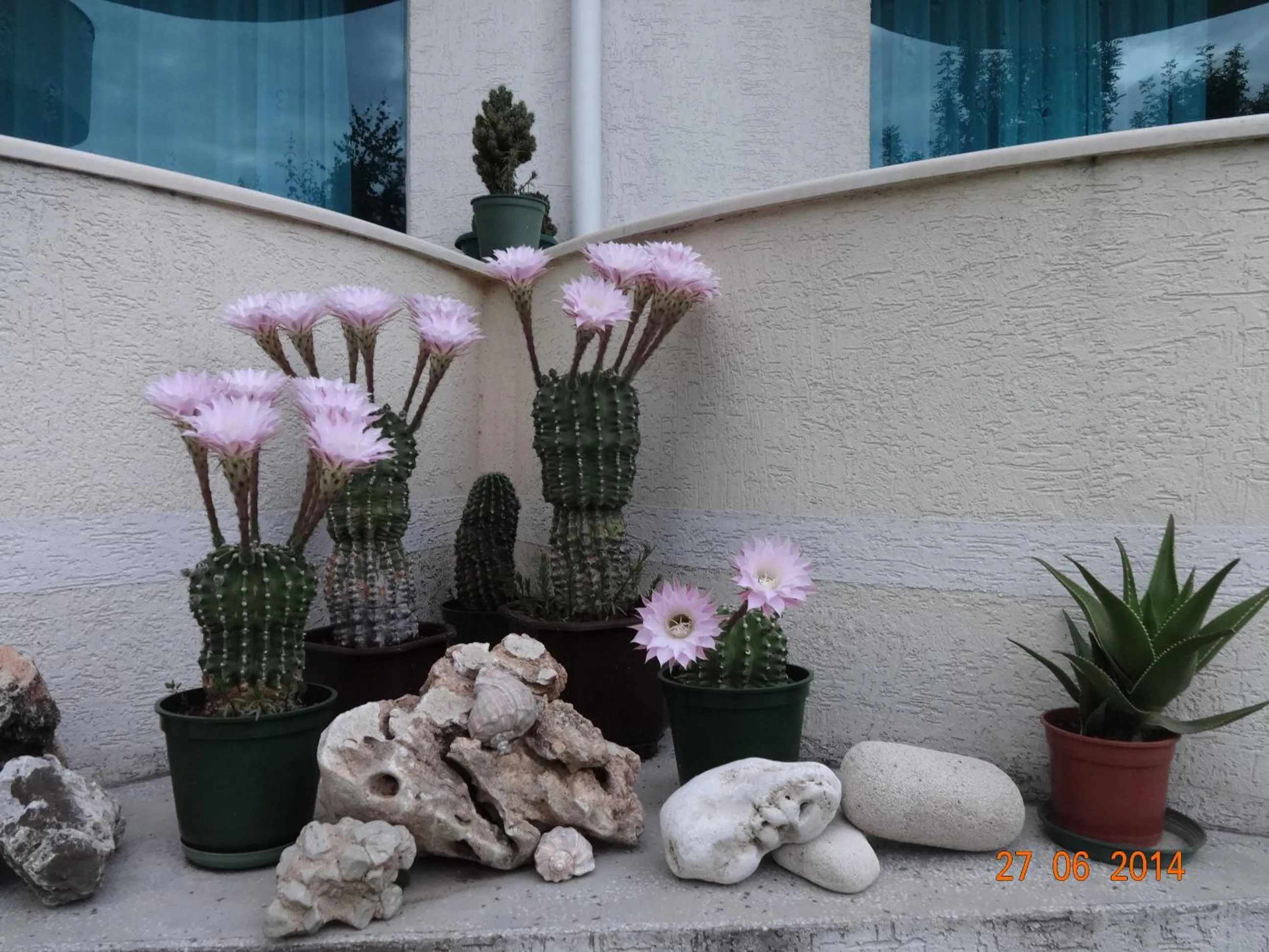 Balcony/Terrace in Hotel Veronika