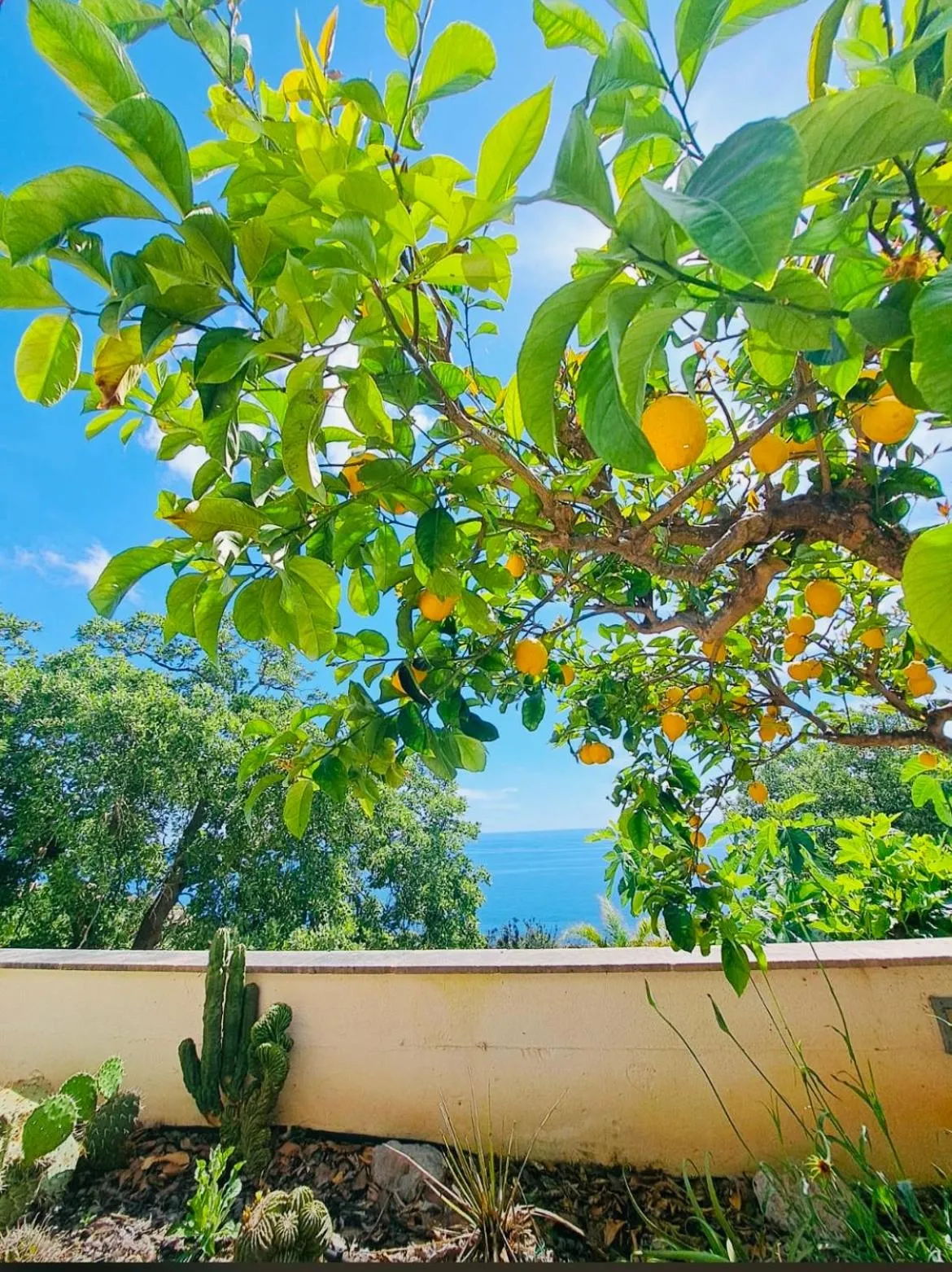CASA AL MARE RIO b&n