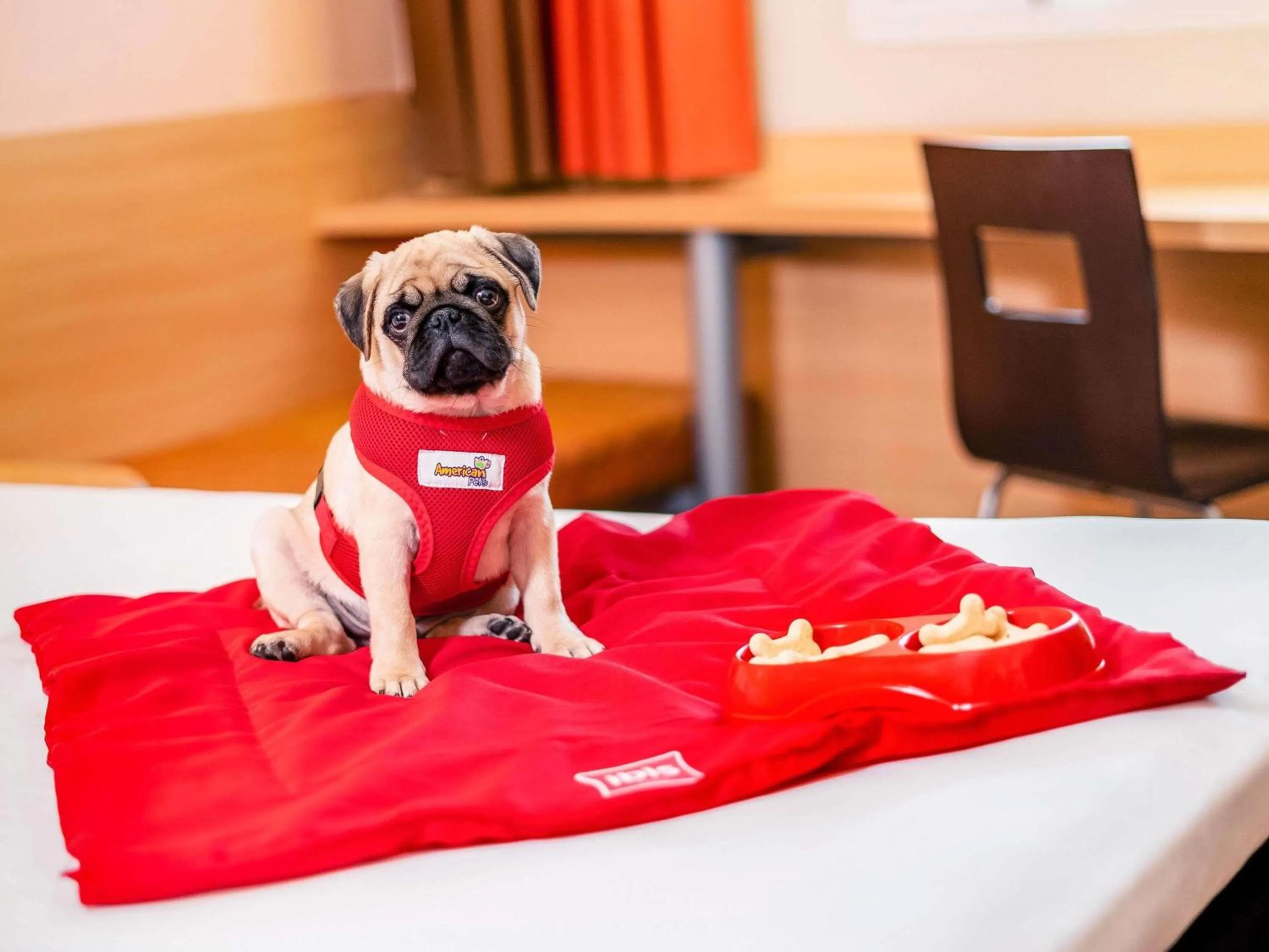 Other in ibis Vitoria Praia de Camburi