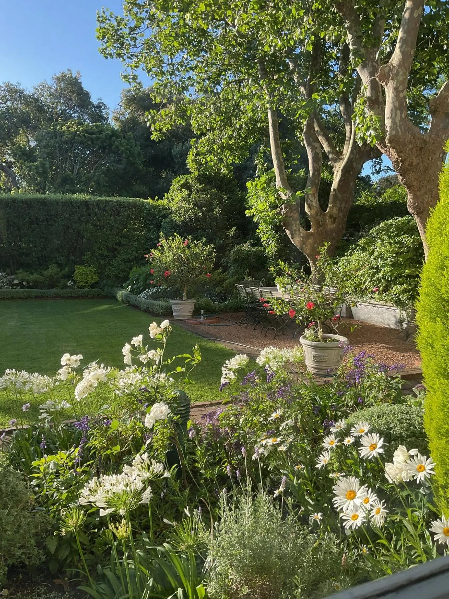 Spring in Sandown Lodge