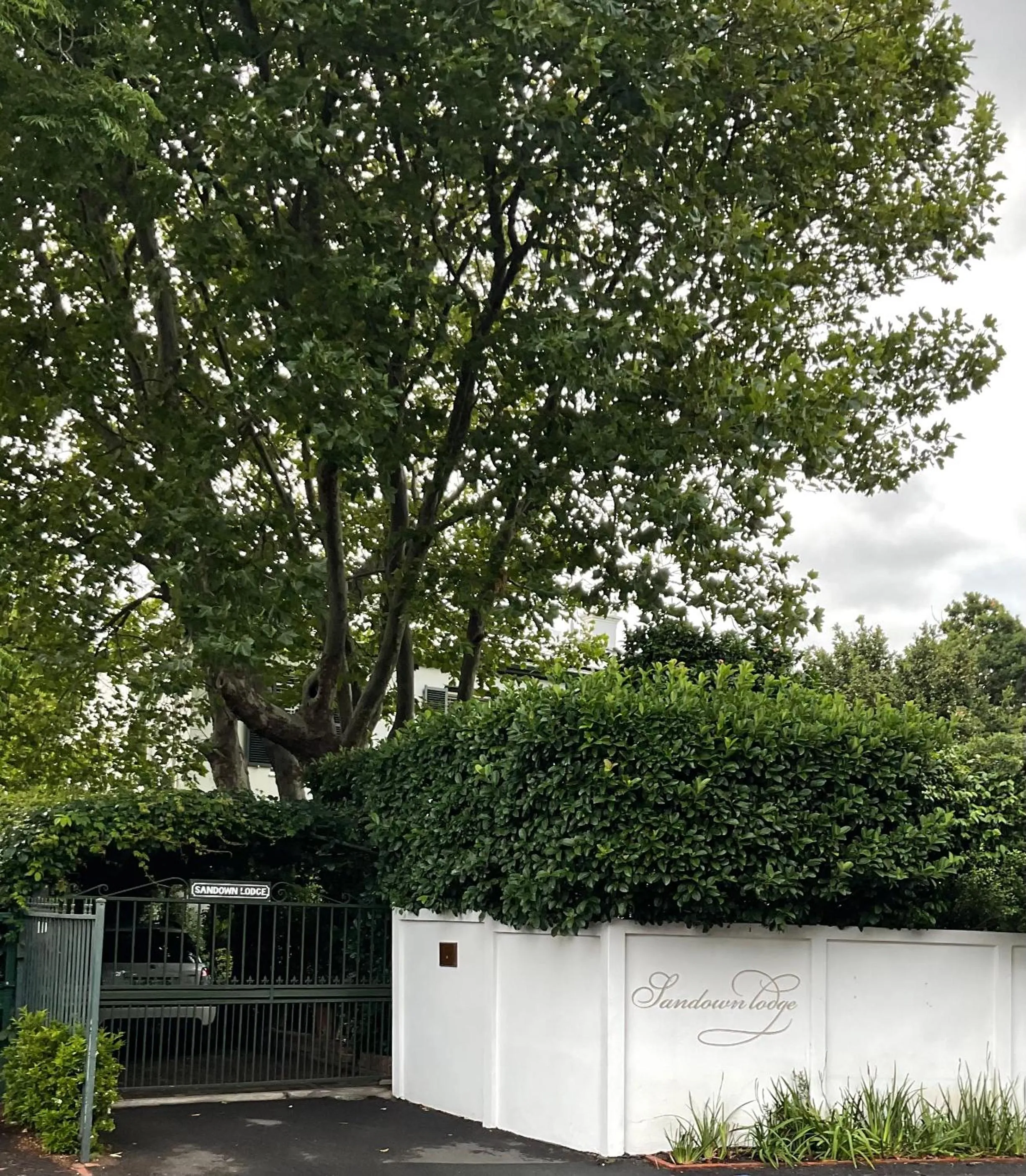 Day in Sandown Lodge