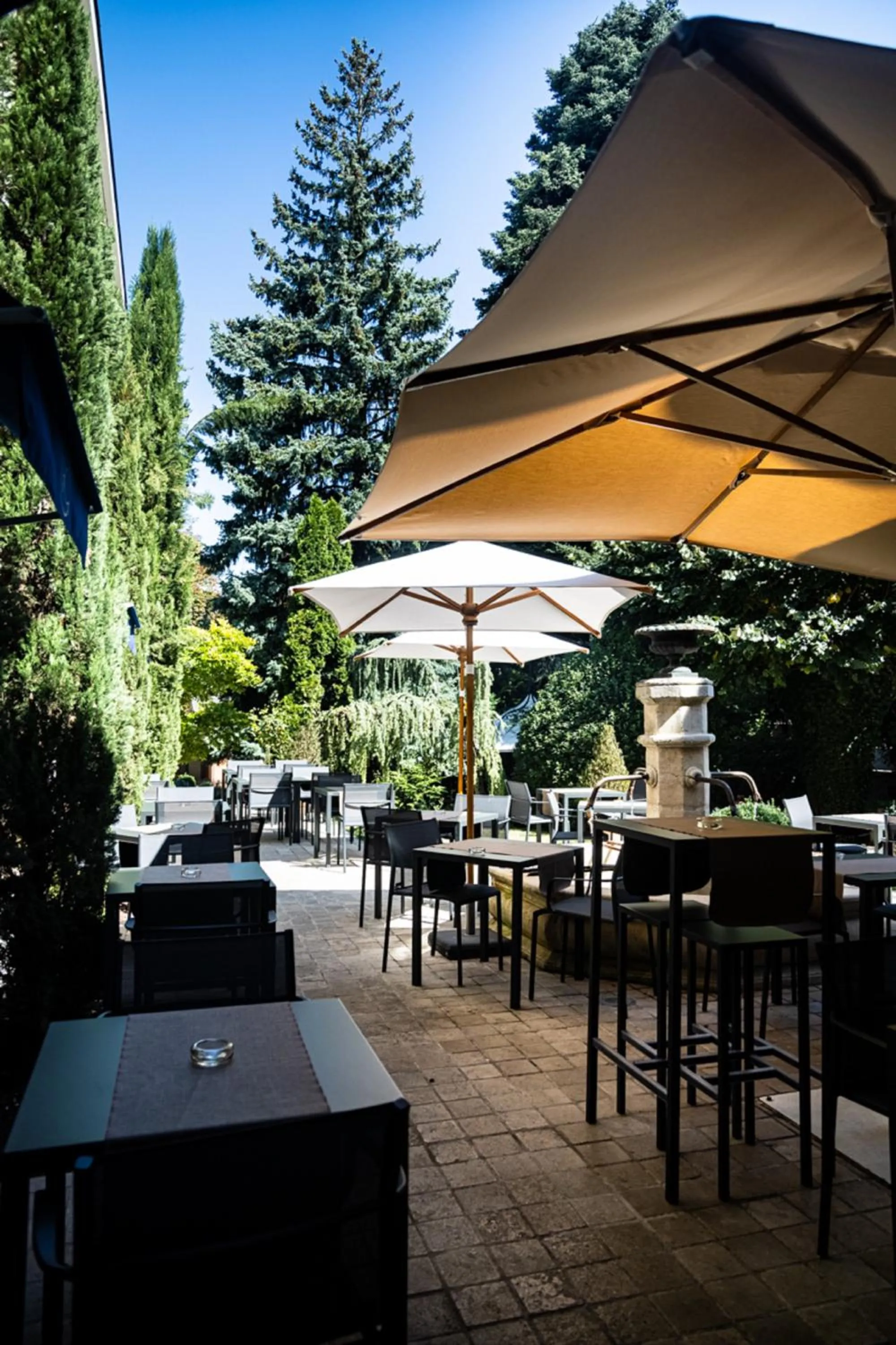 Patio in Hostellerie Cèdre & Spa Beaune