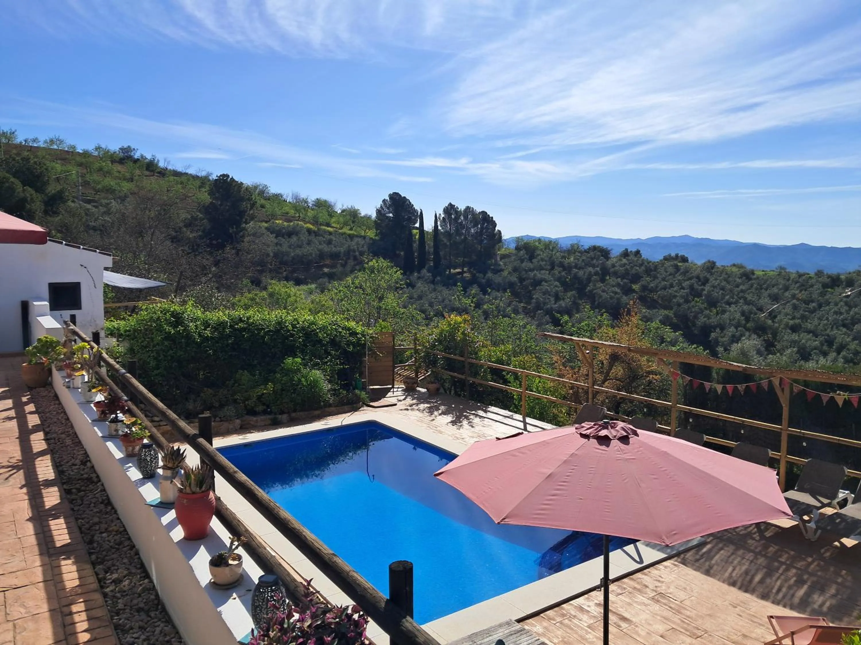Swimming pool in Finca Amorosa