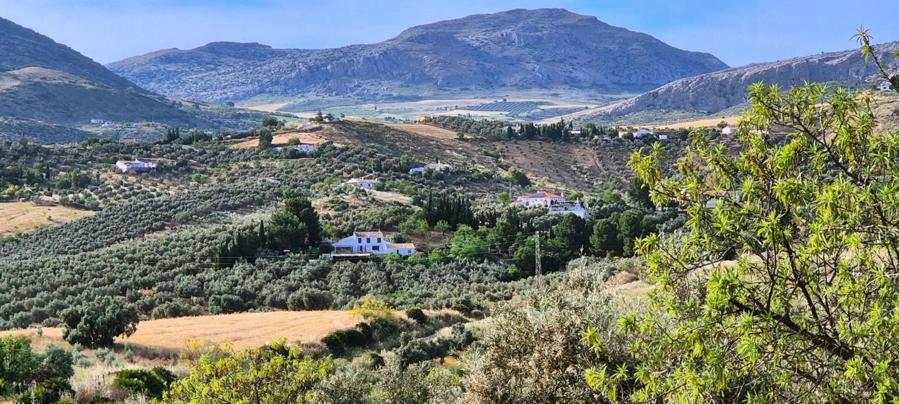 Property building in Finca Amorosa